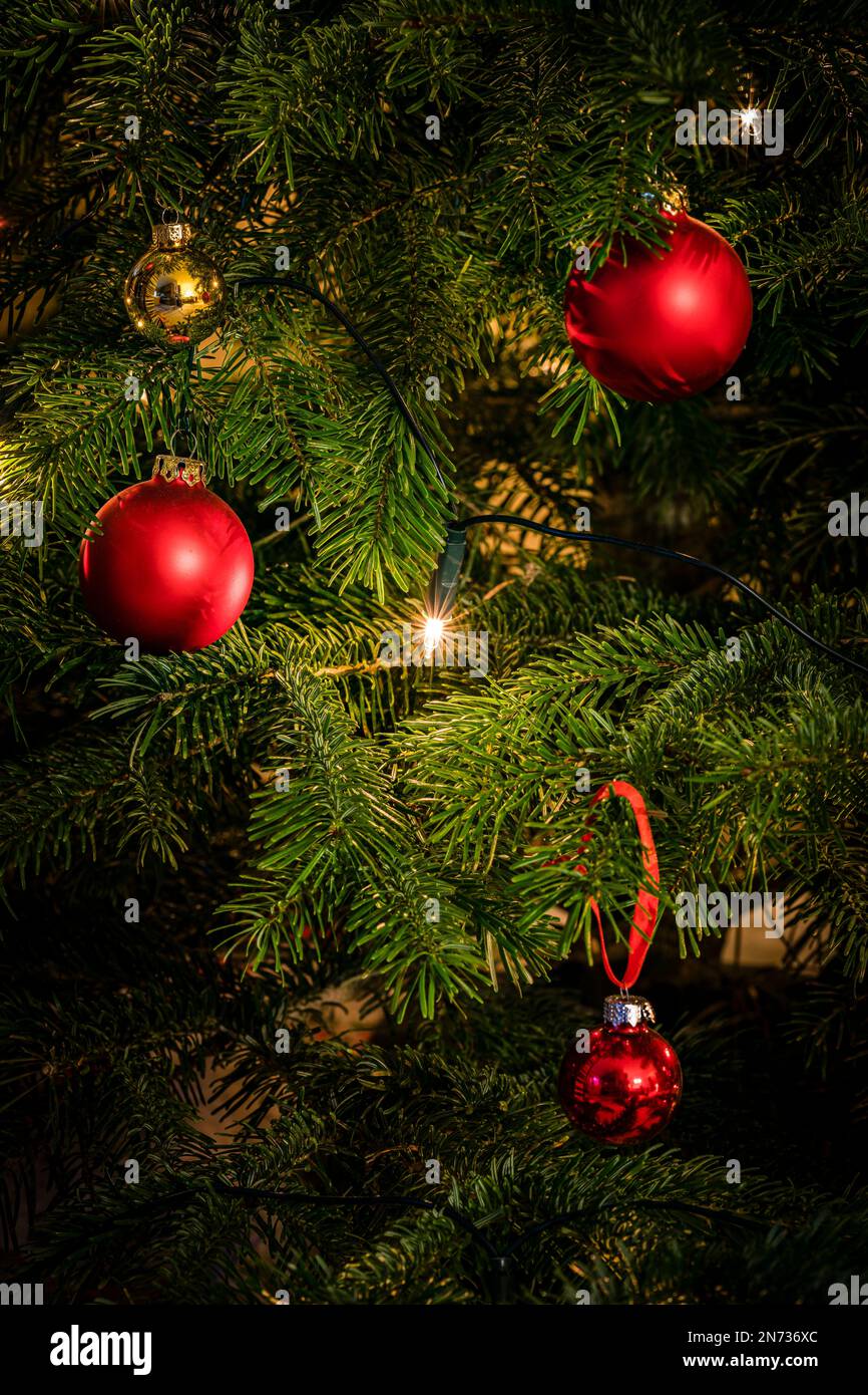 Gros plans d'un sapin de Noël décoré, d'un sapin Nordmann avec des boules rouges et jaunes et d'un éclairage avec des bougies électriques, d'une atmosphère familiale et festive, Banque D'Images