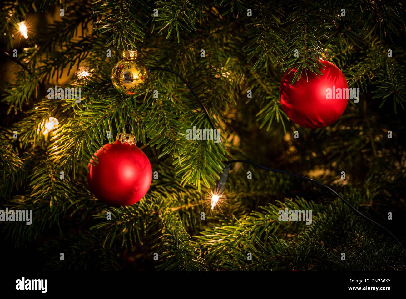 Gros plans d'un sapin de Noël décoré, d'un sapin Nordmann avec des boules rouges et jaunes et d'un éclairage avec des bougies électriques, d'une atmosphère familiale et festive, Banque D'Images