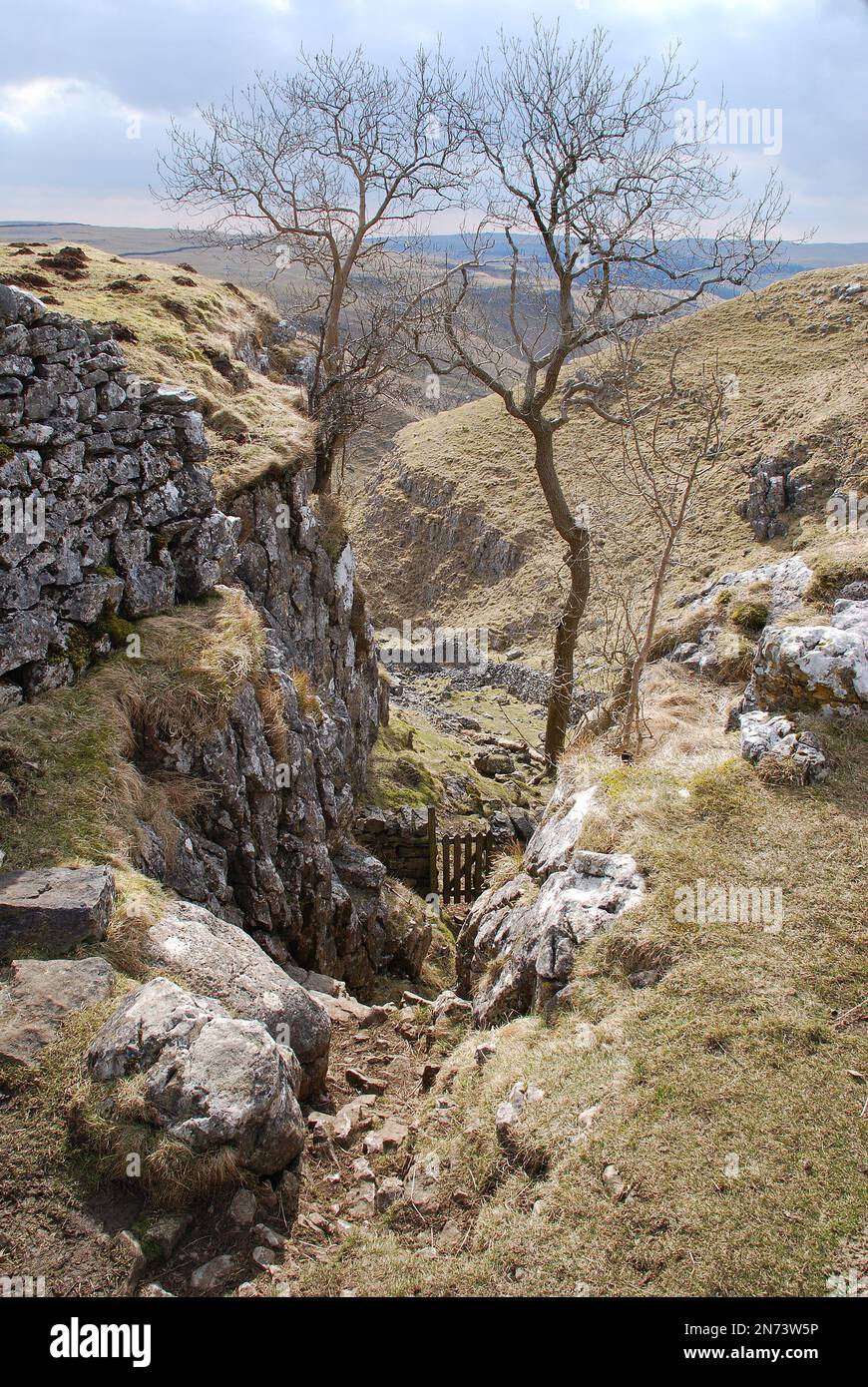 Chef de la Dib. Conistone Le sentier menant à Conistone suit le mur le long d'une étroite vallée coupée en cicatrice Hill Castles avant d'entrer dans la vallée plate de C Banque D'Images