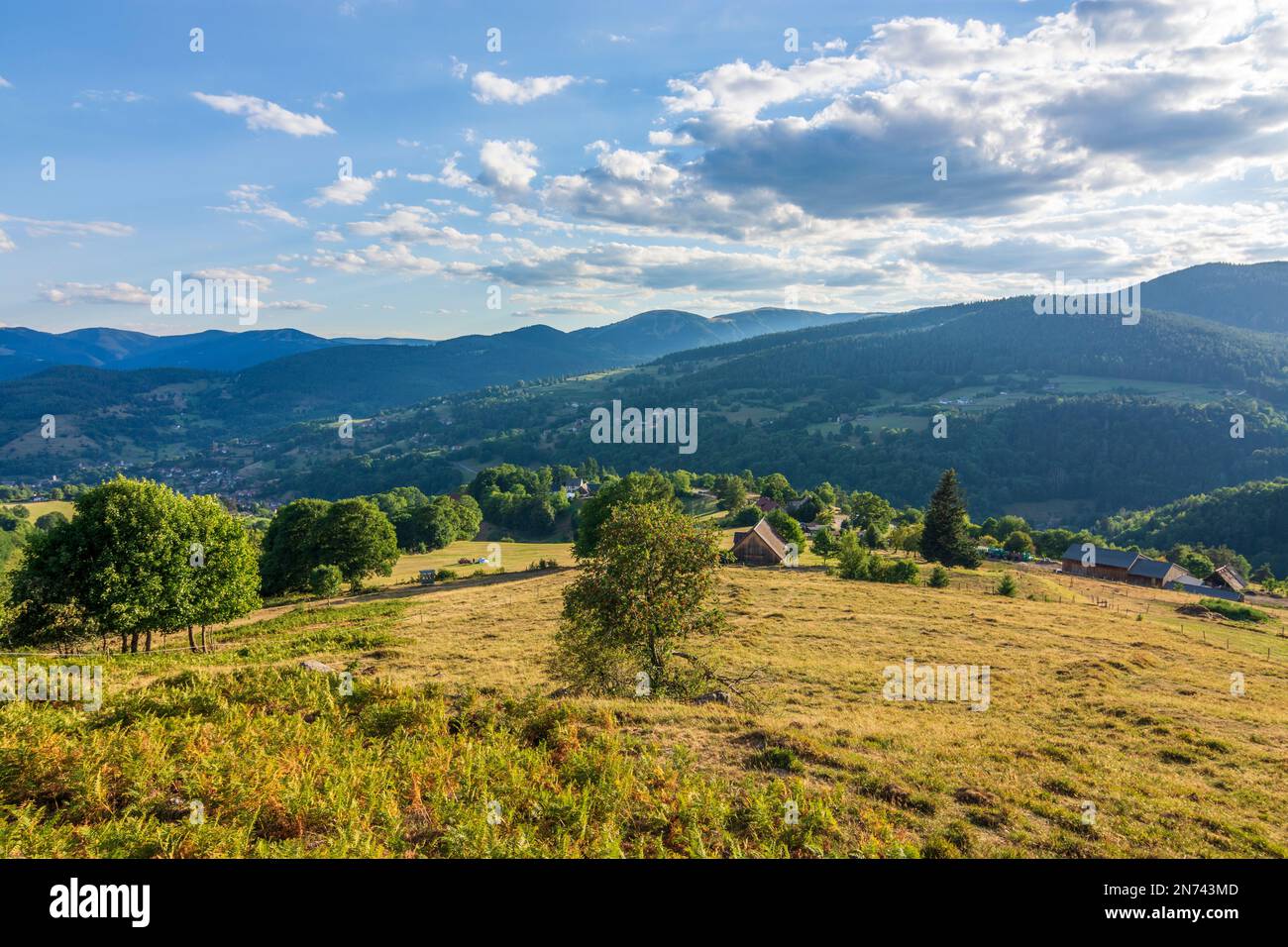 Montagnes des Vosges (Vogesen), fermes du Col du Wettstein, Vosges (Vogesen) montagnes d'Alsace (Elsass), Haut-Rhin (Oberelsass), France Banque D'Images