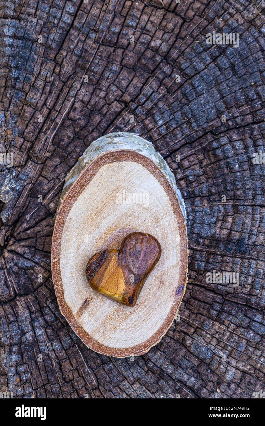 Coeur fait de bois sur fond de bois, encore la vie Banque D'Images