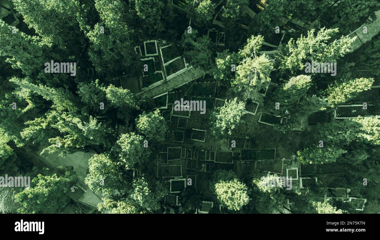 vue aérienne sur la forêt. Forêt Memorial avec de longs arbres. Tombeau du Sultan baba à Golcuk Kocaeli Turquie. Banque D'Images