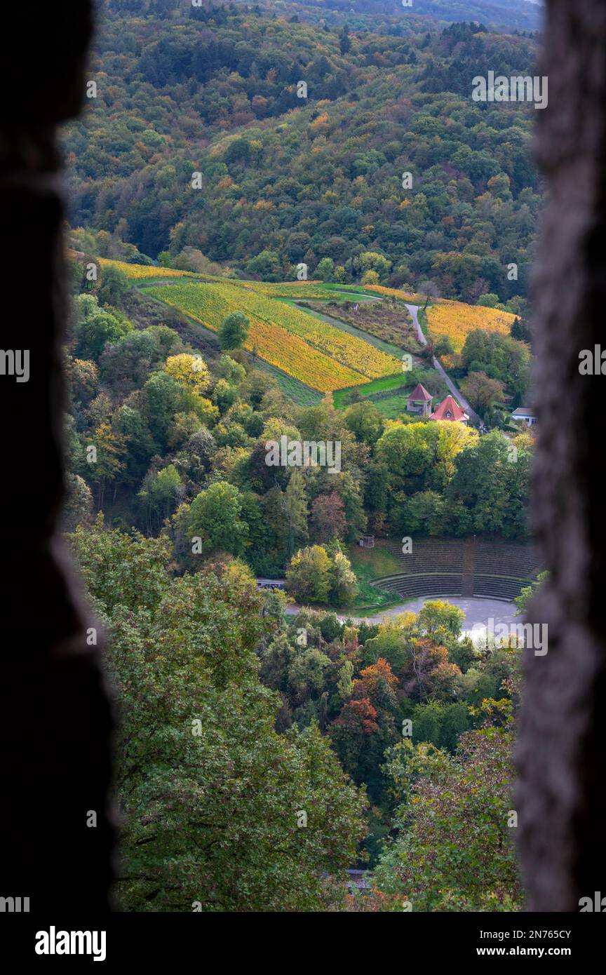 Allemagne, Hesse, Hesse du Sud, quartier de Hesse du Sud Bergstrasse, Heppenheim, vue de Starkenburg sur les vignobles Banque D'Images