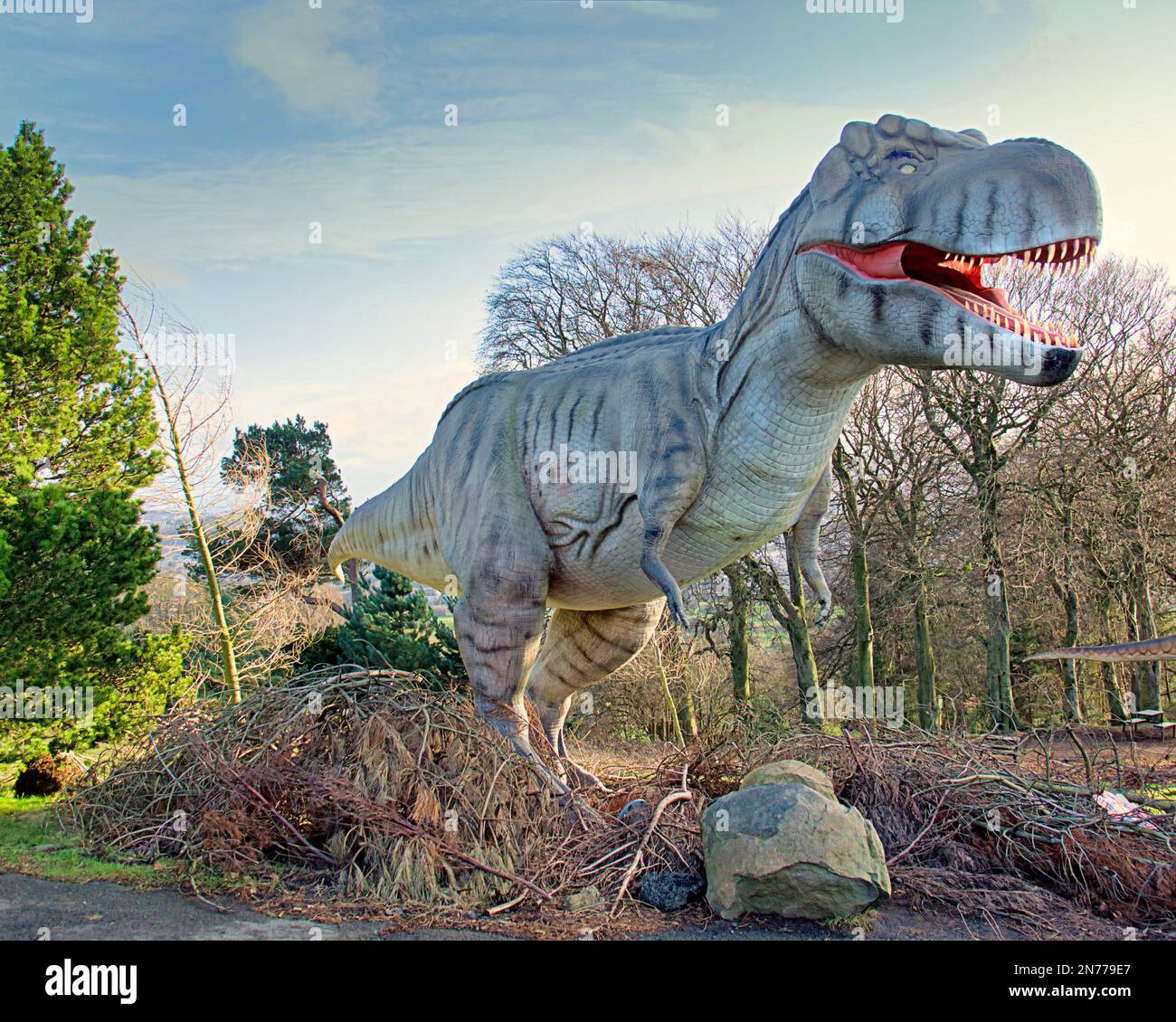 Le modèle animatronique de Tyrannosaurus rex s'appelle souvent T. rex ou T-Rex au zoo d'Édimbourg Banque D'Images