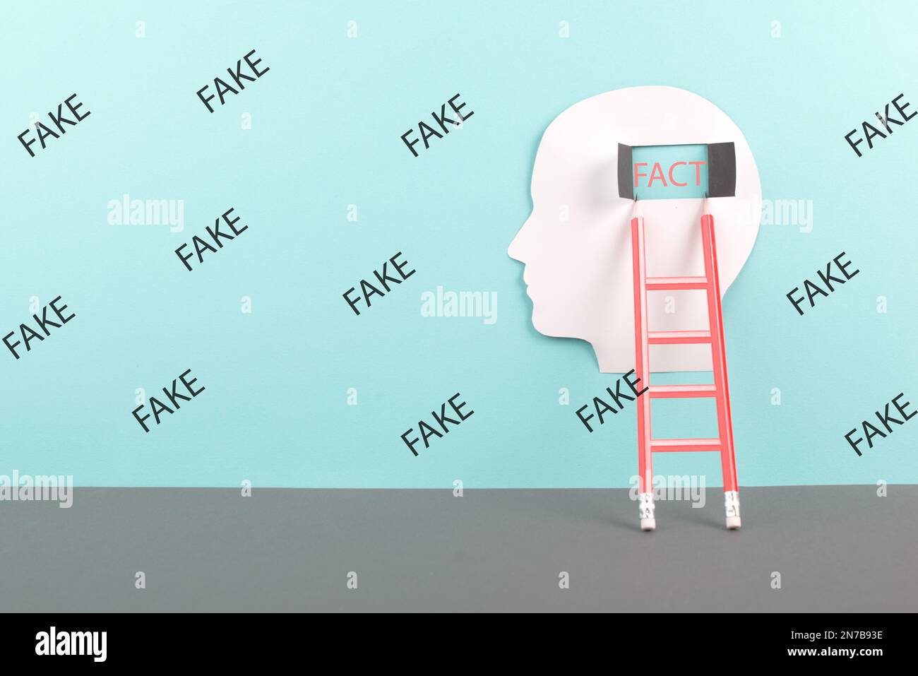 Échelle à la fenêtre dans le cerveau avec le mot fait, entouré de fausses nouvelles, de propagande et de théorie de complot, de médias et de la question de manipulation Banque D'Images