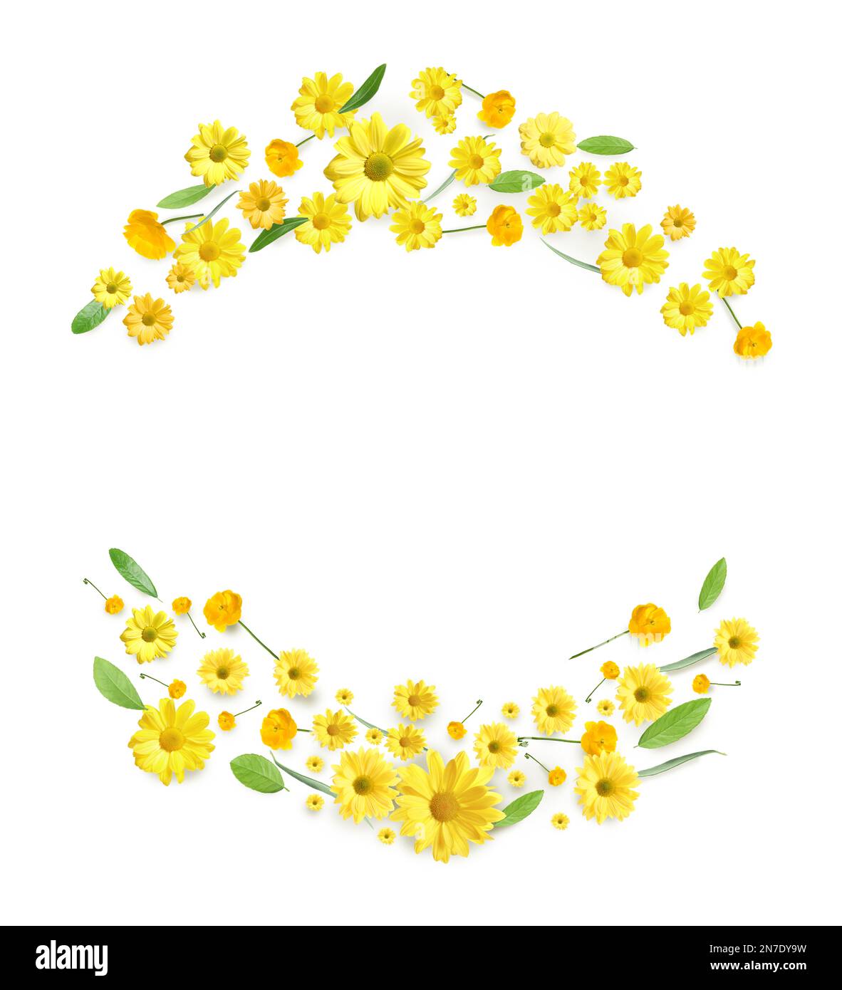Couronnes de belles fleurs sur fond blanc Banque D'Images