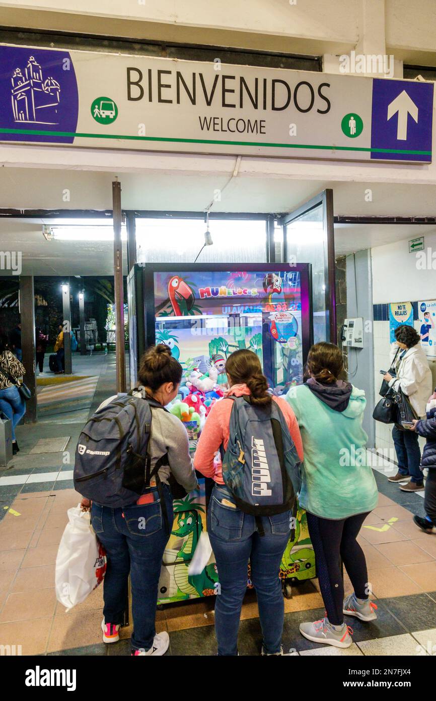 San Miguel de Allende Guanajuato Mexico,Central de Autobuses gare routière,bienvenue jeu de machine de grue à griffe,bienvenue,femme femme femme femme,adulte, Banque D'Images