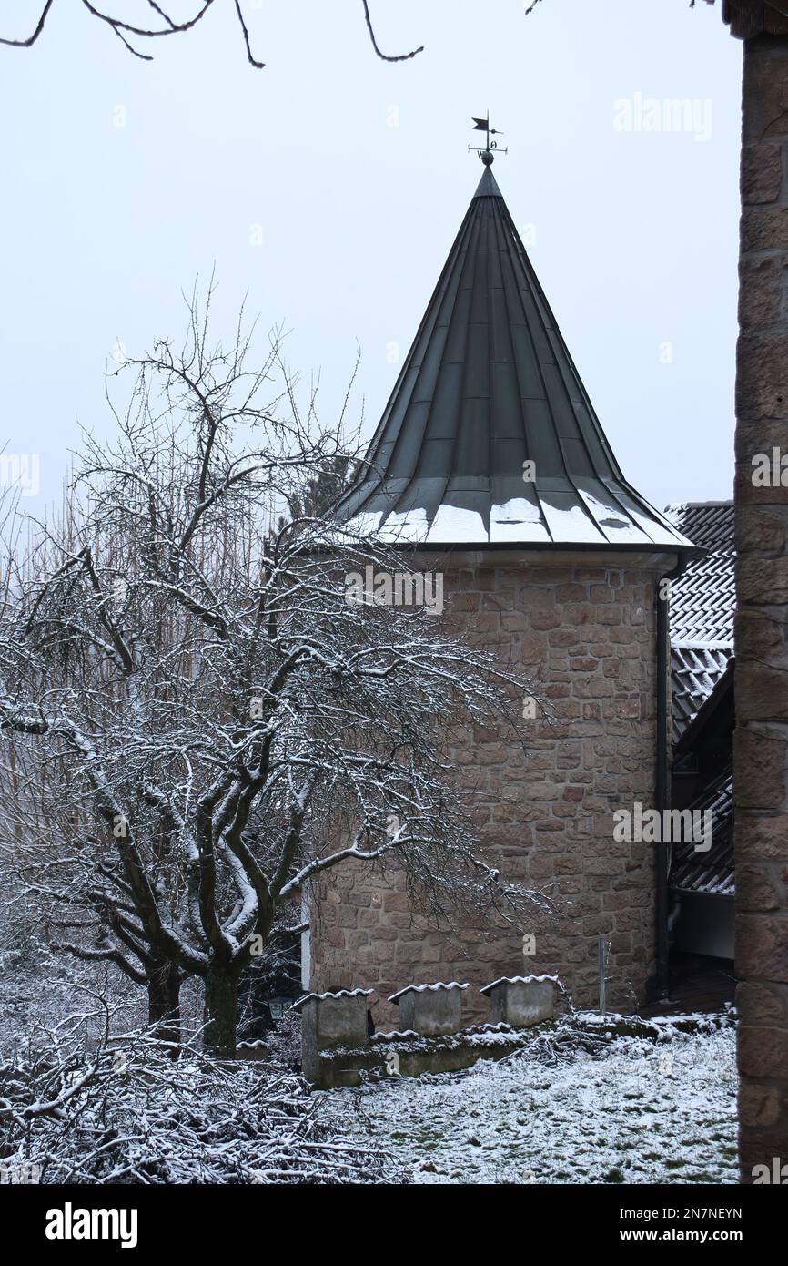 Falkenstein, Allemagne - 31 janvier 2021: Arbres neigeux et terre autour d'une tour à côté des ruines du château de Falkenstein lors d'une journée d'hiver nuageux et froide à Rhinel Banque D'Images