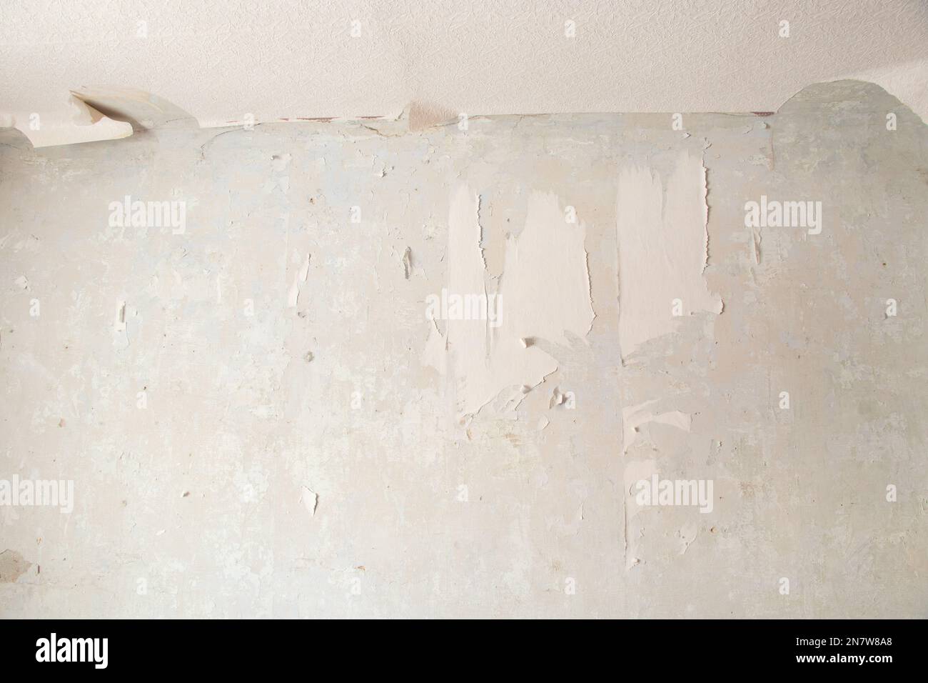 retirer le vieux papier peint du mur dans une pièce d'un immeuble résidentiel, en réaménageant un appartement Banque D'Images