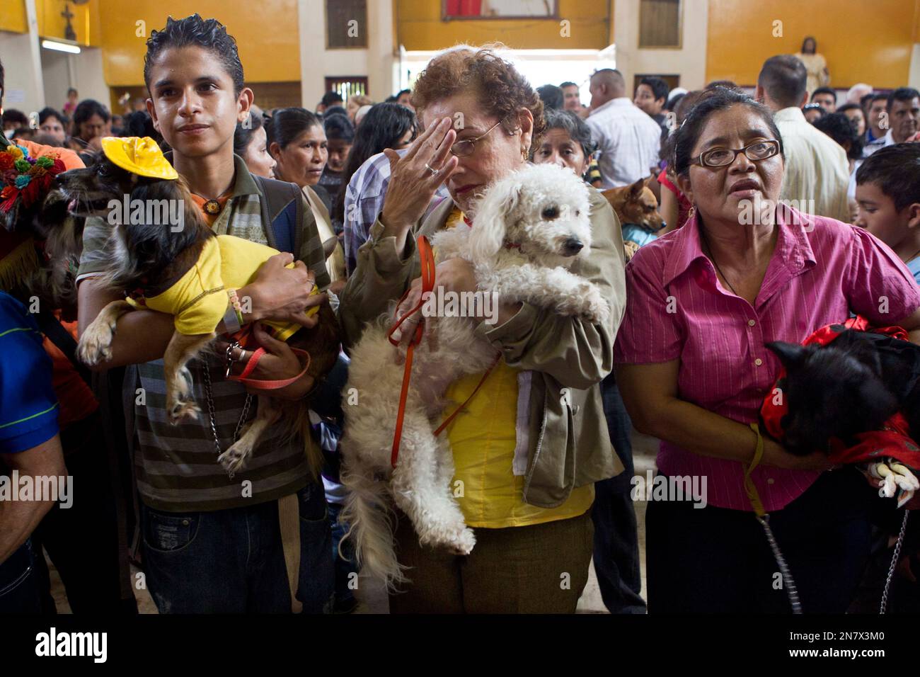 A woman makes the sign of the cross as she holds her dog during an animal blessing ceremony in honor of Saint Lazarus, patron of the sick, at a church in the Monimbo neighborhood of Masaya, Nicaragua, Sunday, March, 17, 2013. Catholics in Nicaragua associated Saint Lazarus with dogs, and dress up their pets for a Catholic blessing, asking the saint to keep their dogs healthy. (AP Photo/Esteban Felix) Banque D'Images