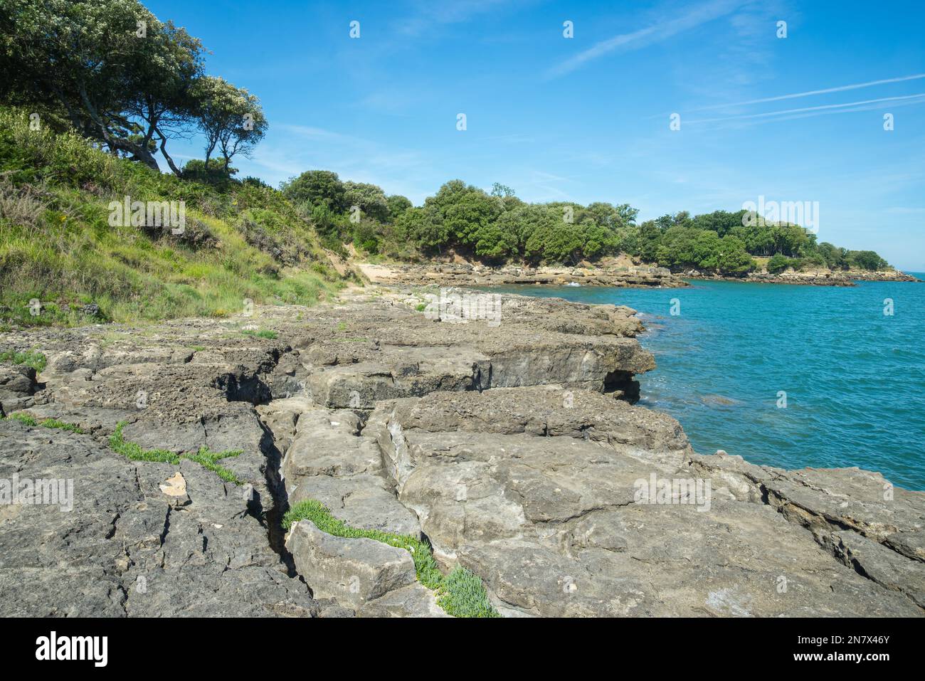 Ile d'Aix Charente Maritime côte Atlantique France littoral rocailleux et turquoise océan Atlantique et arbres sur les rives en été Banque D'Images