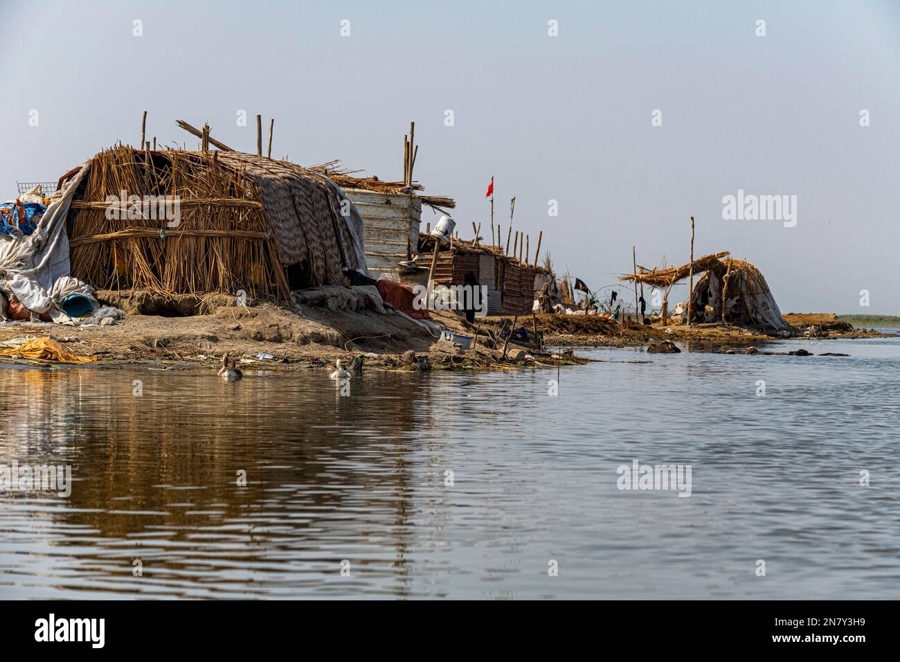 Maison Reed des Arabes des marais, marais mésopotamiens, Ahwar du sud de l'Irak, site de l'UNESCO, Irak Banque D'Images