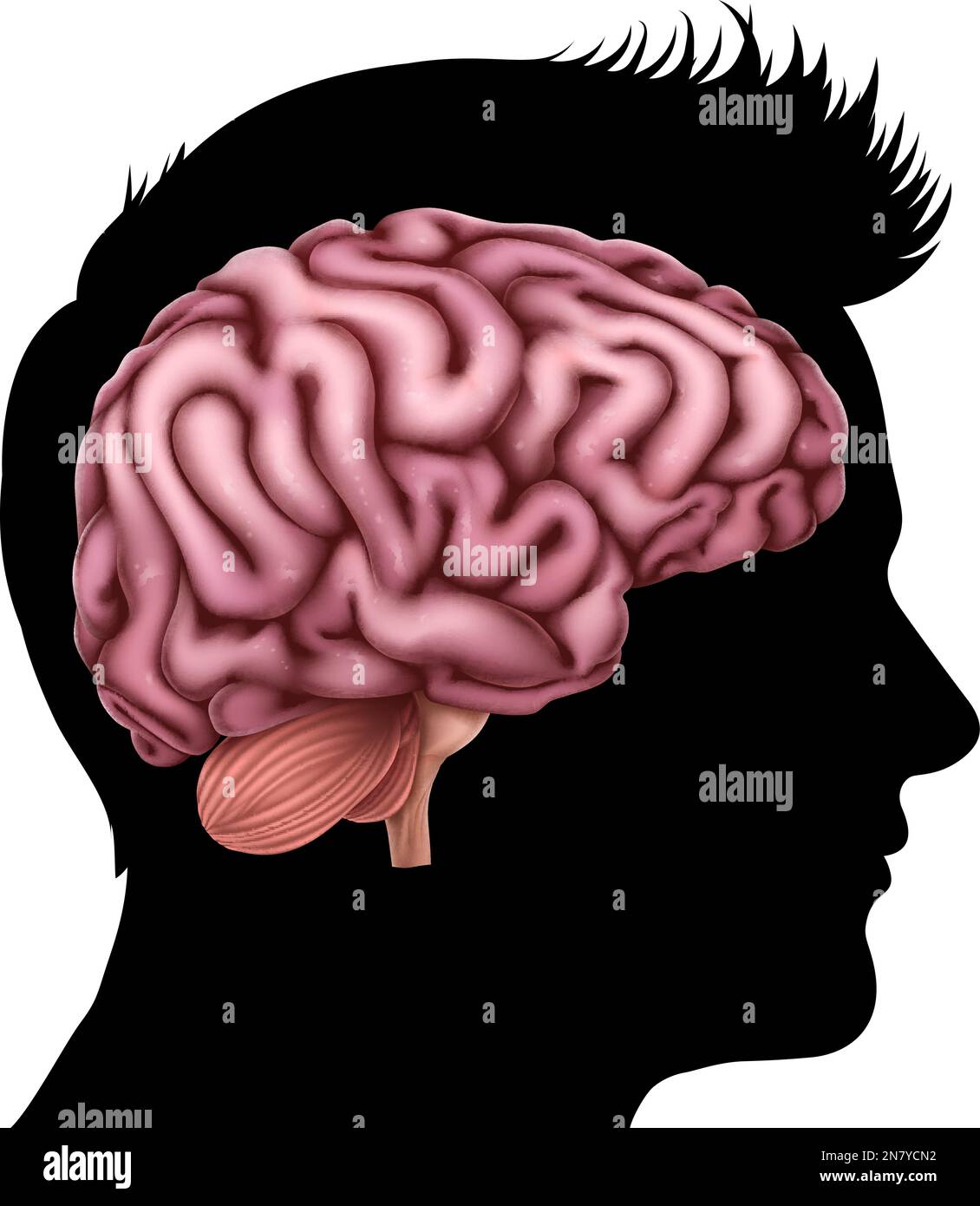 Homme tête dans le profil de silhouette avec le concept de cerveau Illustration de Vecteur