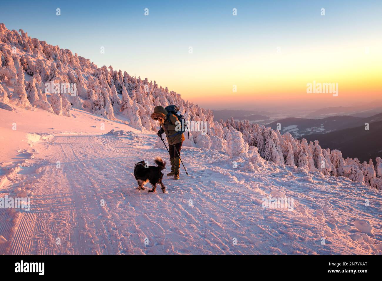 Femme avec son chien randonnée en montagne d'hiver pendant le coucher du soleil. Trekking dans un paysage enneigé. Sport et vie active à l'extérieur Banque D'Images