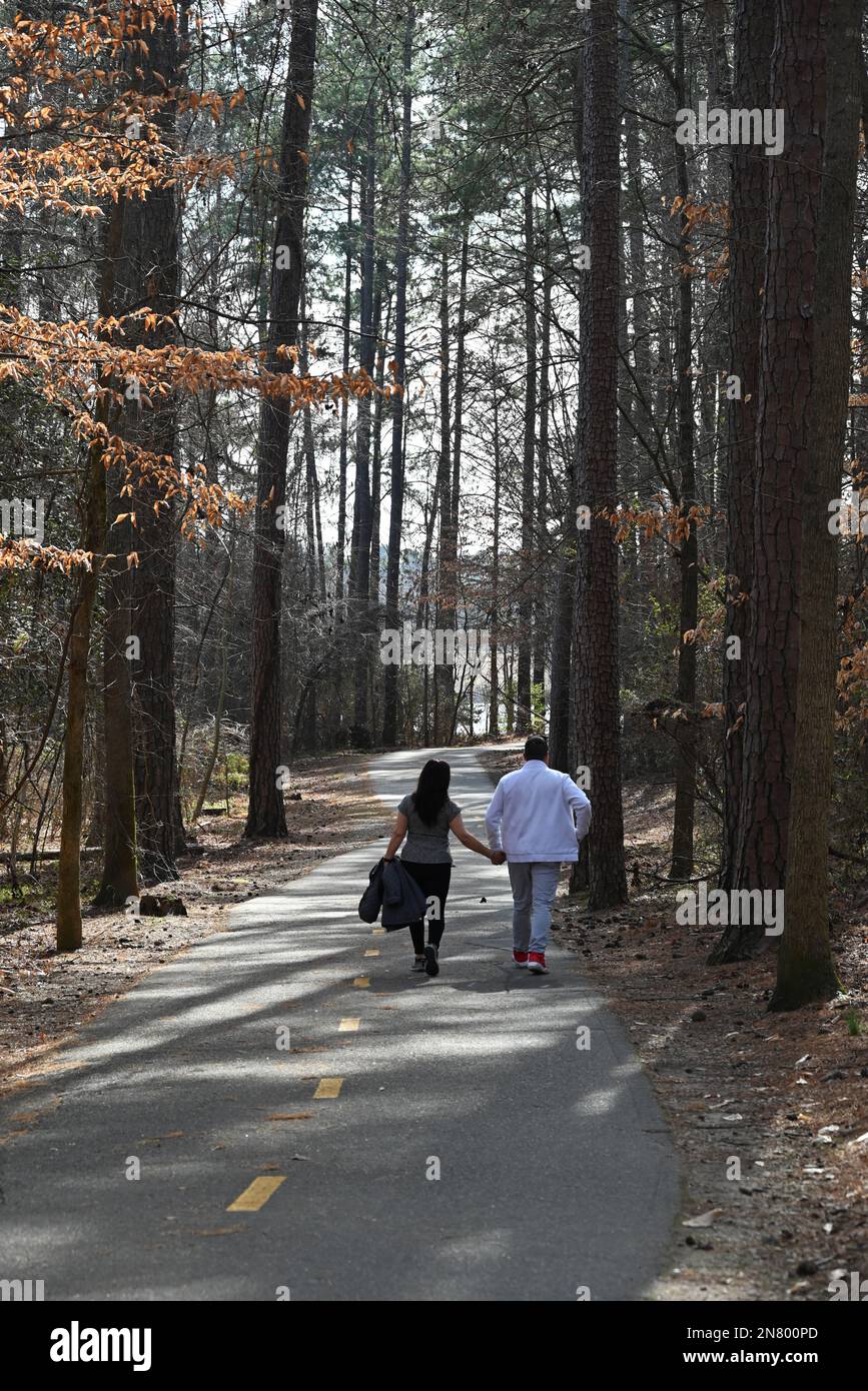 Un couple tient les mains tout en marchant dans les bois. Banque D'Images