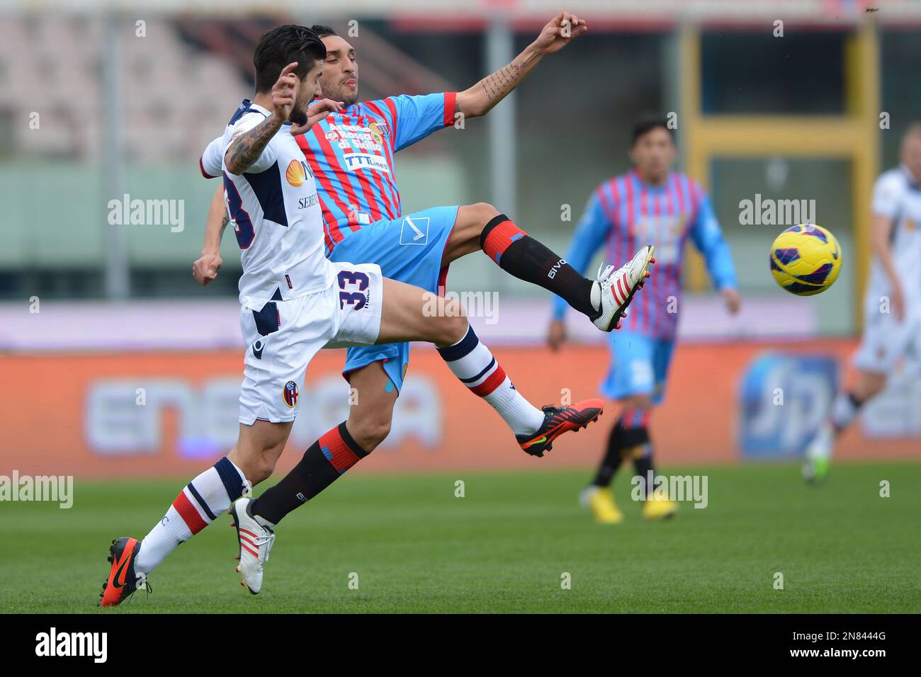 Bologna midfielder Panagiotis Kone, of Greece, challenges for the ball with Catania midfielder Francesco Lodi during the Serie A soccer match between Catania and Bologna at the Angelo Massimino stadium in Catania, Italy, Sunday, Feb. 17, 2013. (AP Photo/Carmelo Imbesi) Banque D'Images