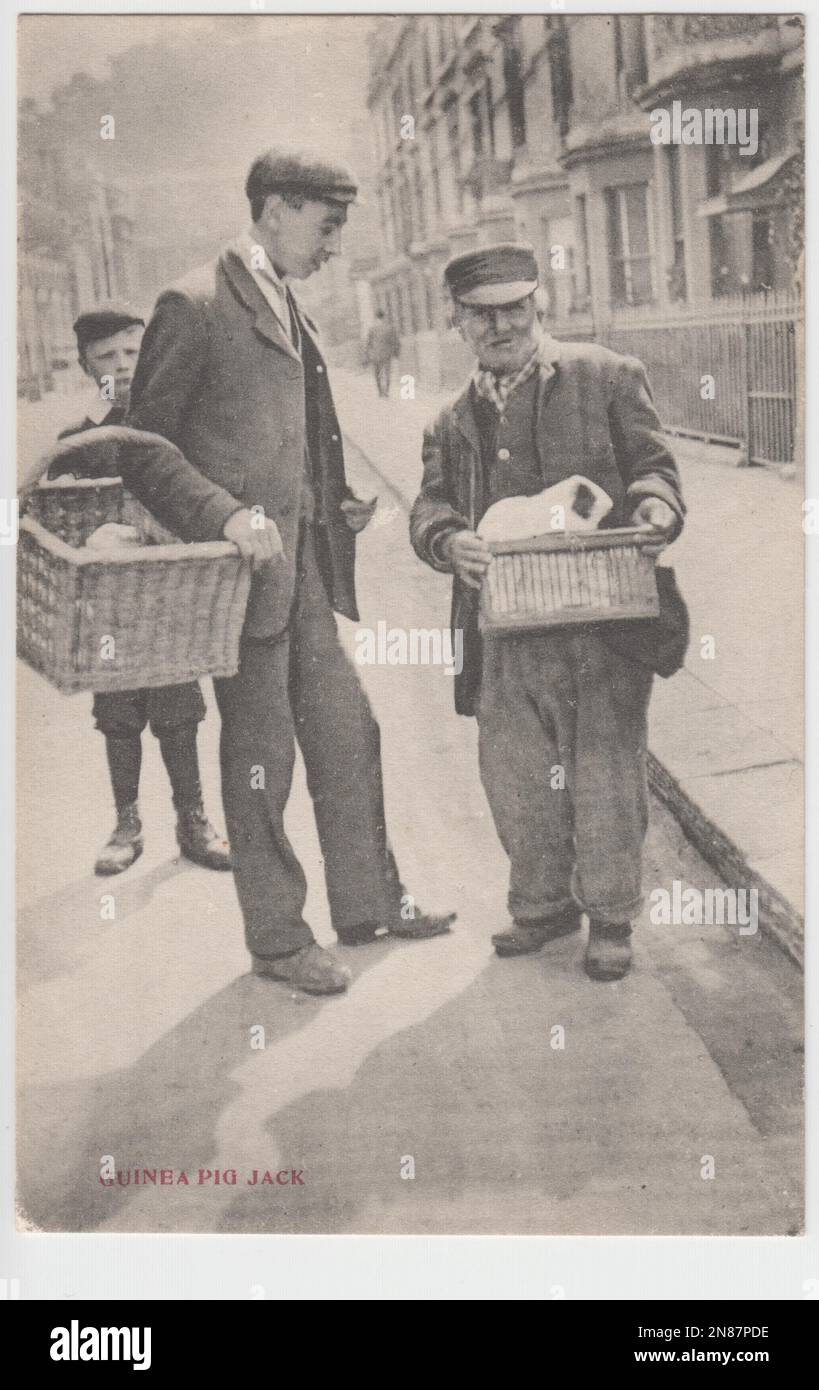 'Jack de cochon d'Inde': Dominico Conio (1832-1907), autrement connu sous le nom de Jack de cochon d'Inde. Originaire d'Italie, Conio a déménagé à Bath, en Angleterre, dans sa jeunesse et a travaillé comme vendeur de journaux. Il était connu pour ses spectacles de rue impliquant des cobayes formés. Dans cette photo, 'Jack' montre un cobaye dans un panier à l'appareil photo, tandis que deux garçons se tiennent près de lui Banque D'Images