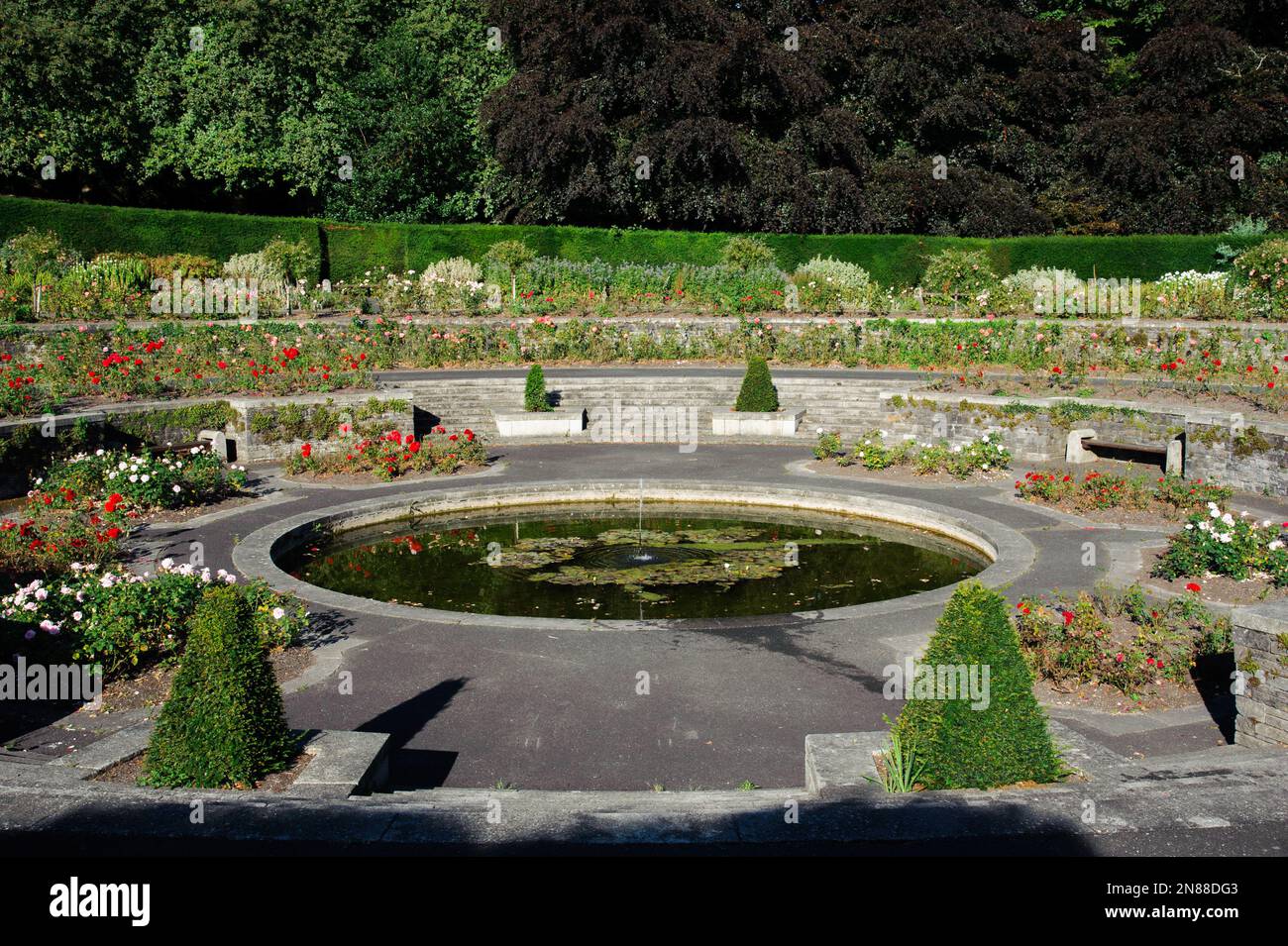 Jardin de roses dans War Memorial Gardens à Islandbridge, Dublin. Conçu par Sir Edwin Lutyens comme un mémorial de WW1, conçu en 1930 Banque D'Images