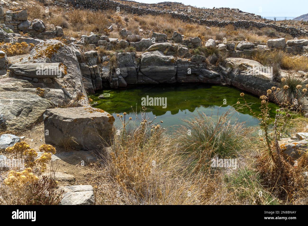 Site archéologique et musée vivant de Delos, qui fait partie de la municipalité de Mykonos dans les Cyclades, Grèce. Banque D'Images