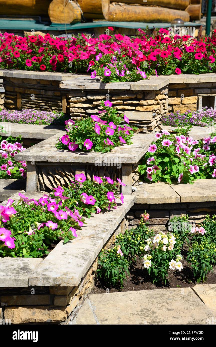 Aménagement paysager du jardin de la maison, aménagement paysager avec des fleurs et des murs de retenue en pierre dans l'arrière-cour de la maison en été. Belle plante garnie de fleurs et taillée Banque D'Images