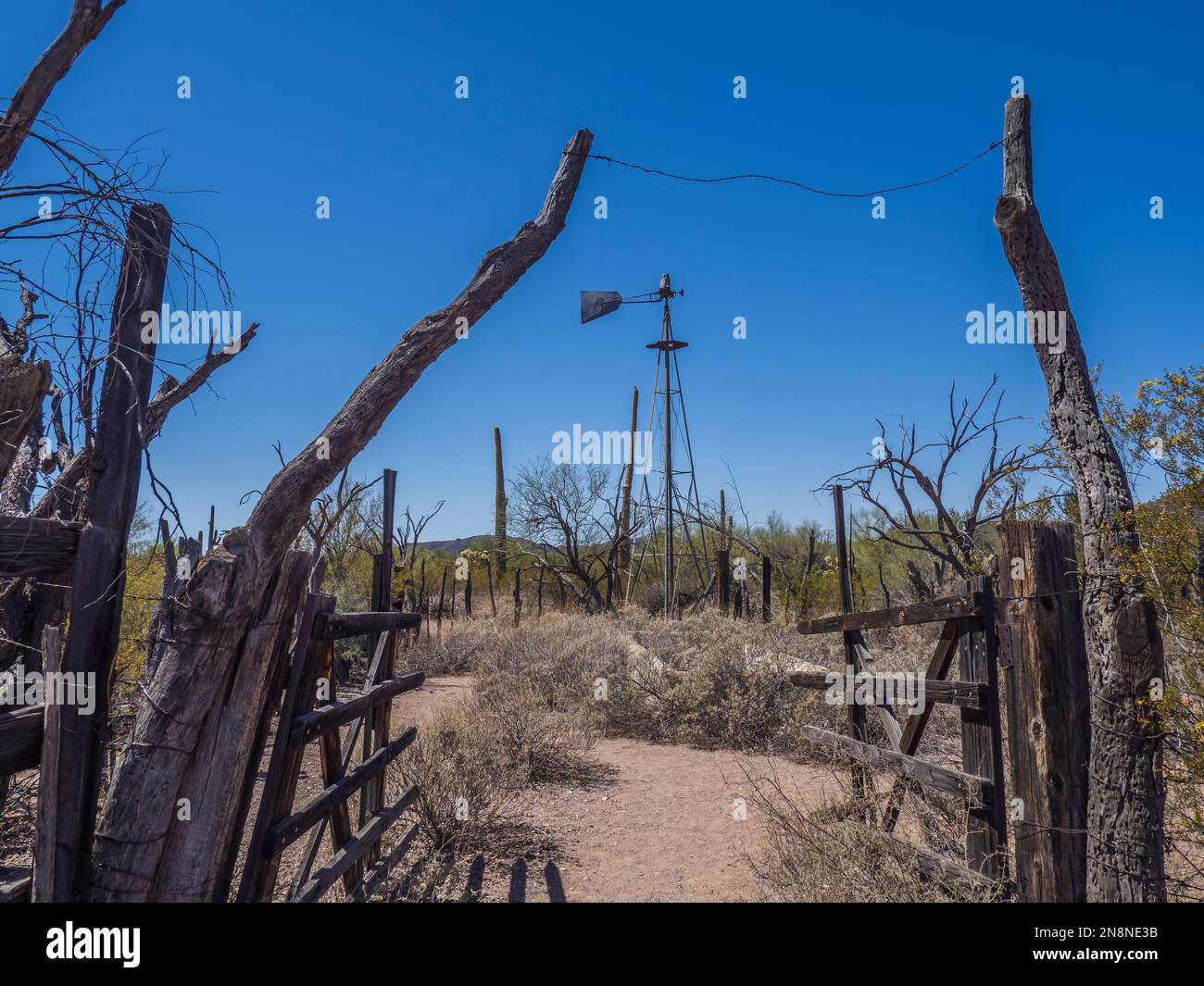 Bonita Well, Puerto Blanco Loop Drive, Organ Pipe Cactus National Monument, Arizona. Banque D'Images