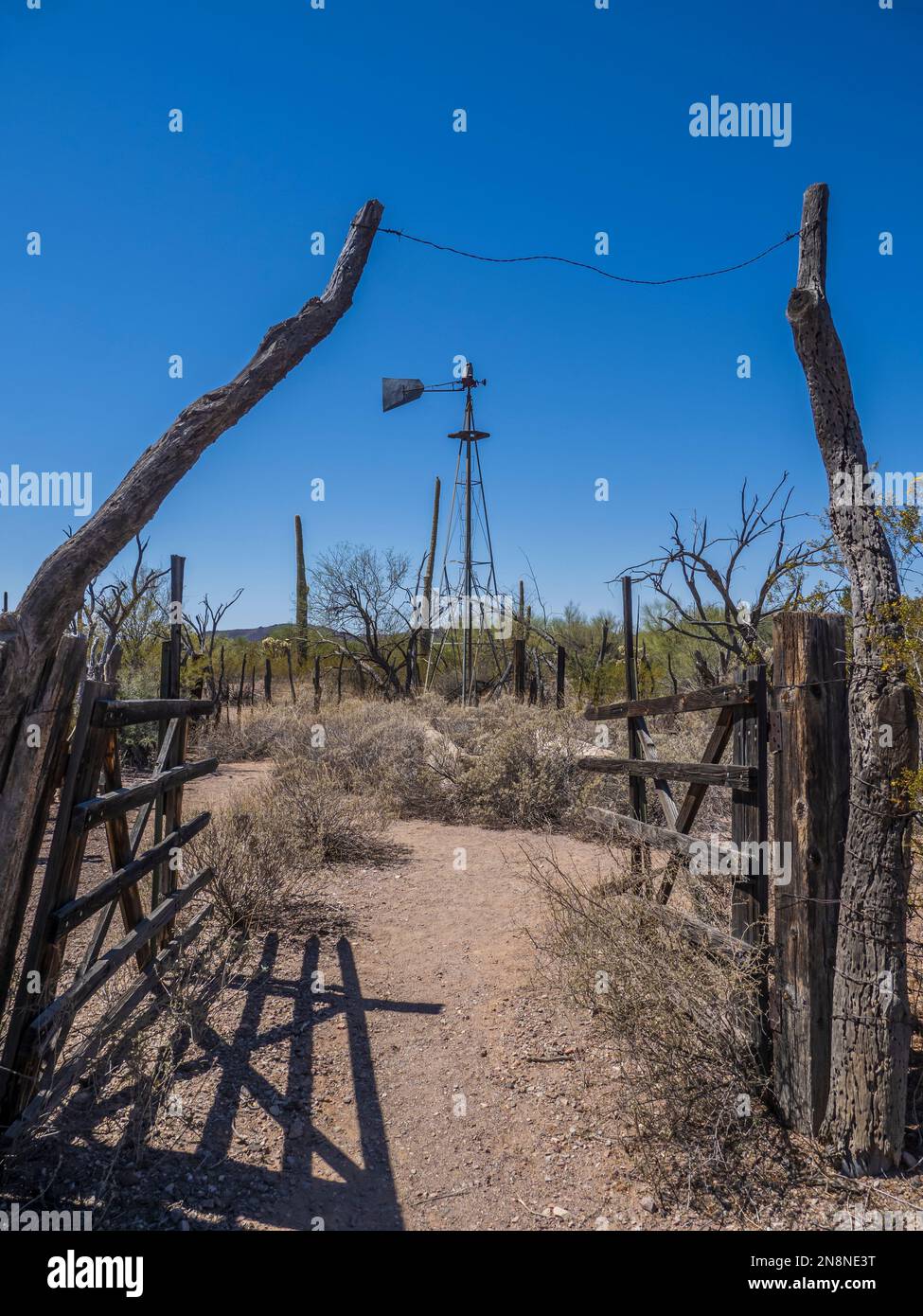 Bonita Well, Puerto Blanco Loop Drive, Organ Pipe Cactus National Monument, Arizona. Banque D'Images