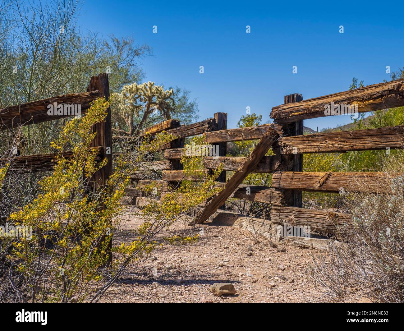 Bonita Well, Puerto Blanco Loop Drive, Organ Pipe Cactus National Monument, Arizona. Banque D'Images