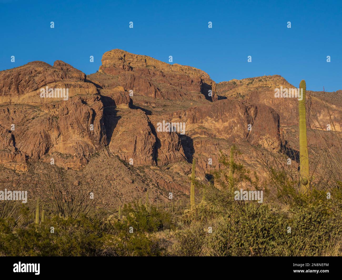 Ajo Mountains, Ajo Mountain Drive, Organ Pipe Cactus National Monument, Arizona. Banque D'Images