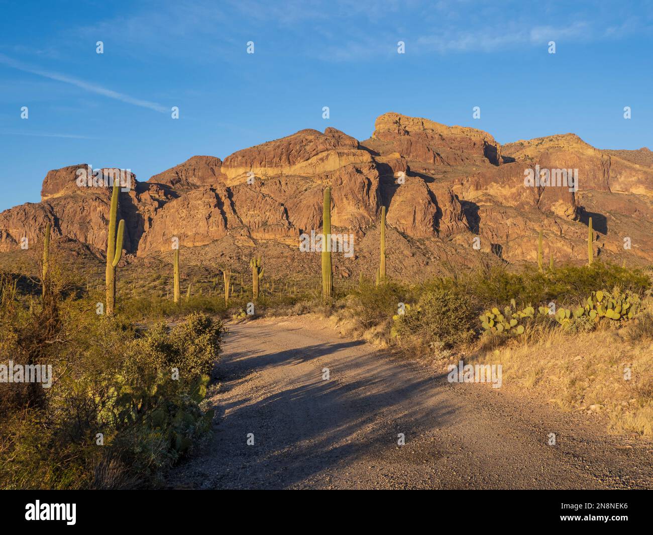 Ajo Mountain Drive, Organ Pipe Cactus National Monument, Arizona. Banque D'Images