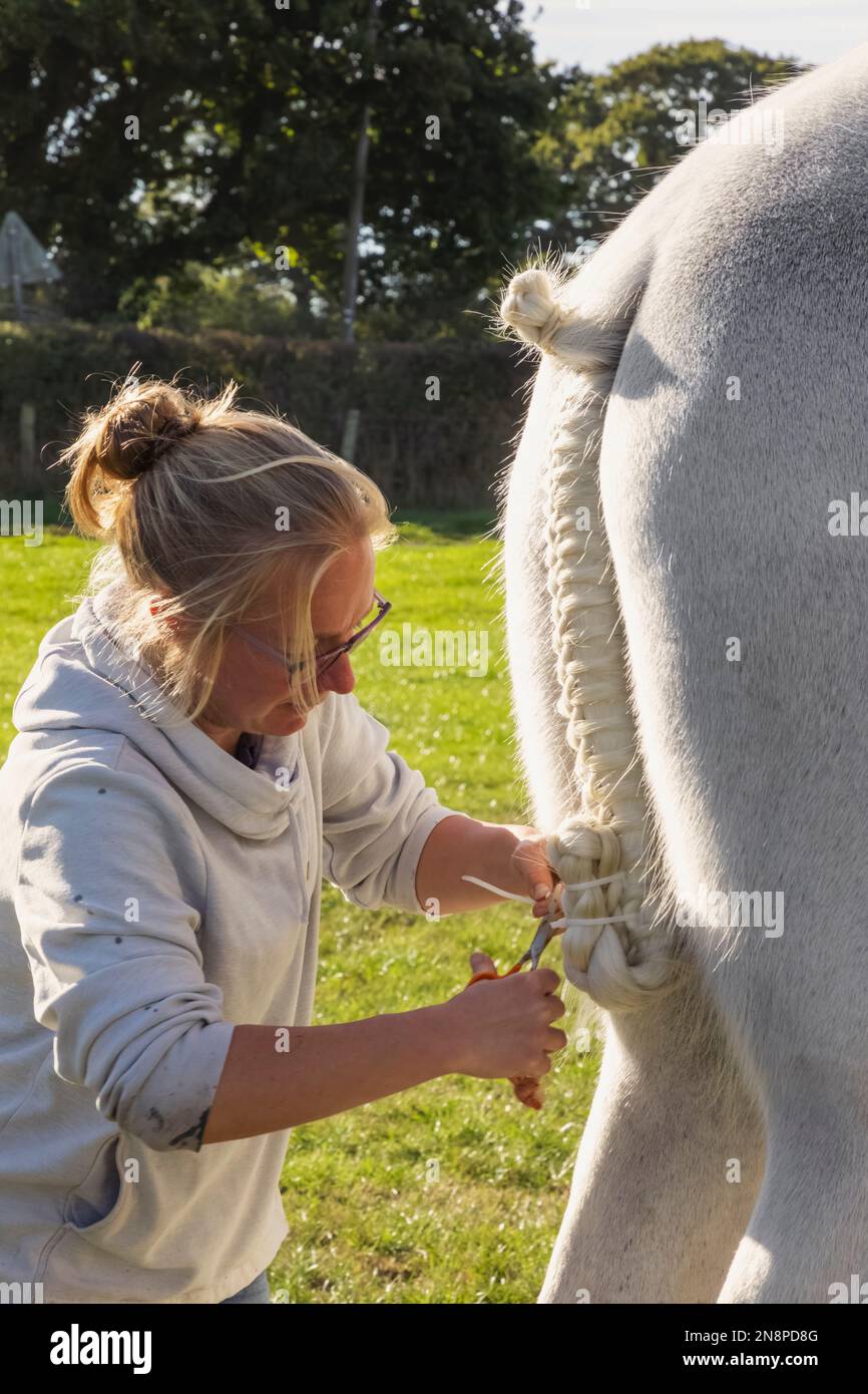Angleterre, Dorset, Shaftesbury, le spectacle annuel Wessex Heavy Horse Show and Country Fair, Woman Grooming Heavy Horse en préparation pour le spectacle Banque D'Images