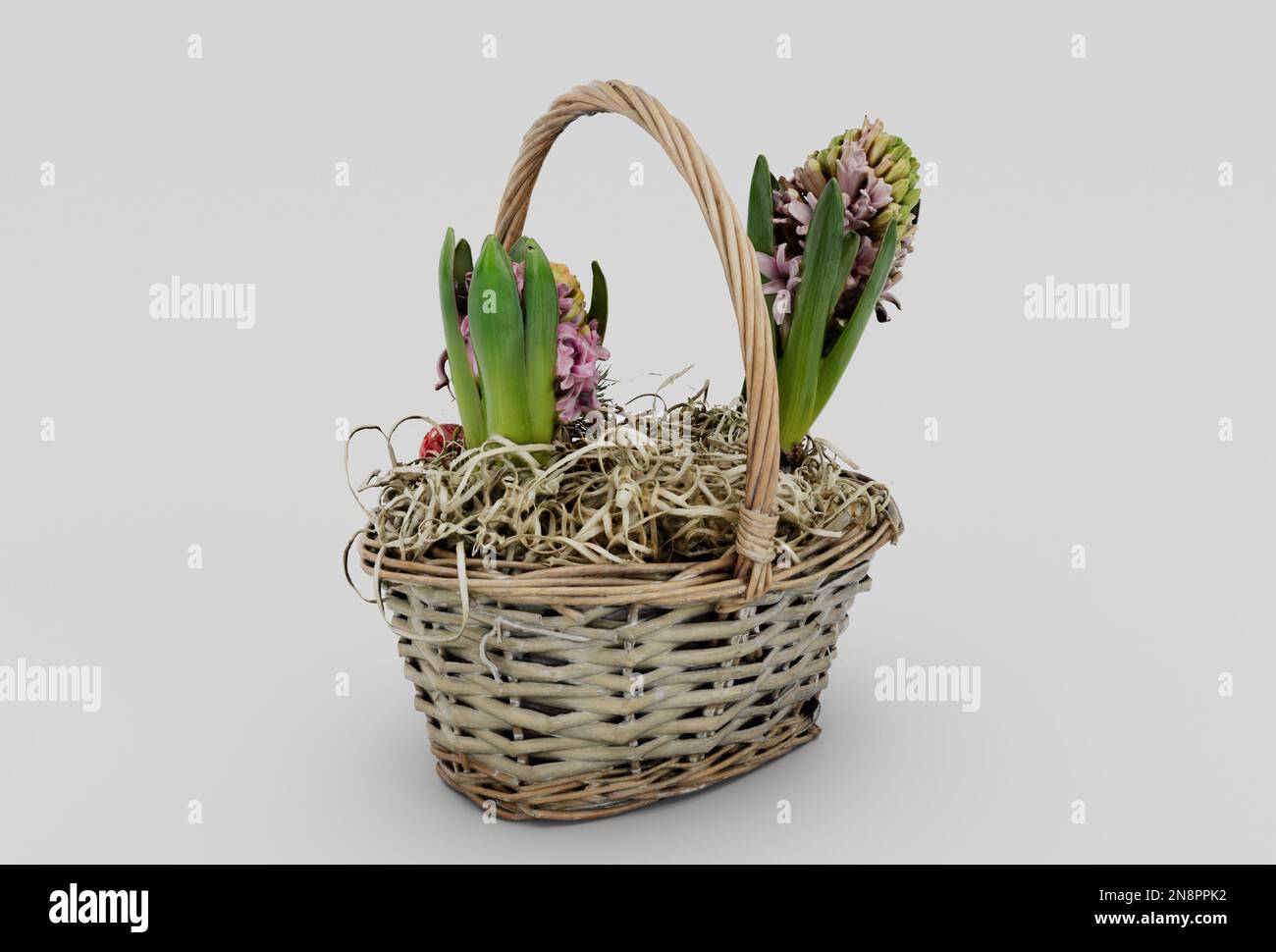 panier en osier jacinthes 3d minimum rendu sur fond blanc Banque D'Images