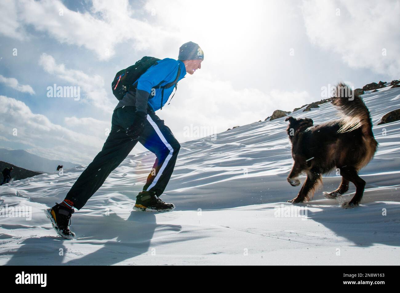 jeune homme randonnée en hiver avec chien Banque D'Images