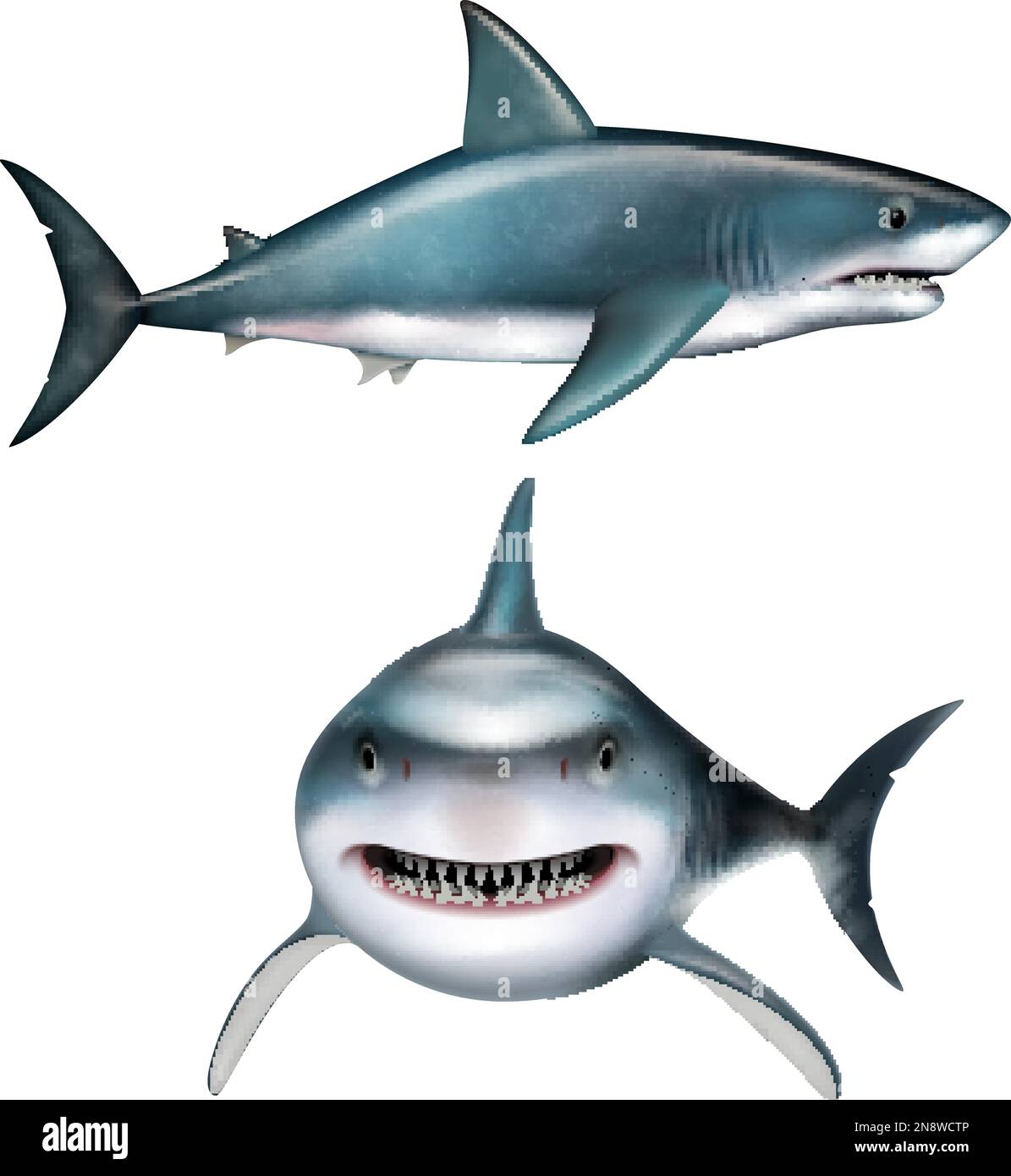 Ensemble réaliste de requin avec symboles de prédateur illustration vectorielle isolée Illustration de Vecteur