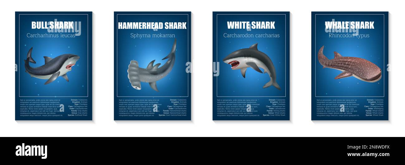 Ensemble réaliste d'affiches de requin avec différents types de poissons dangereux illustration vectorielle isolée Illustration de Vecteur