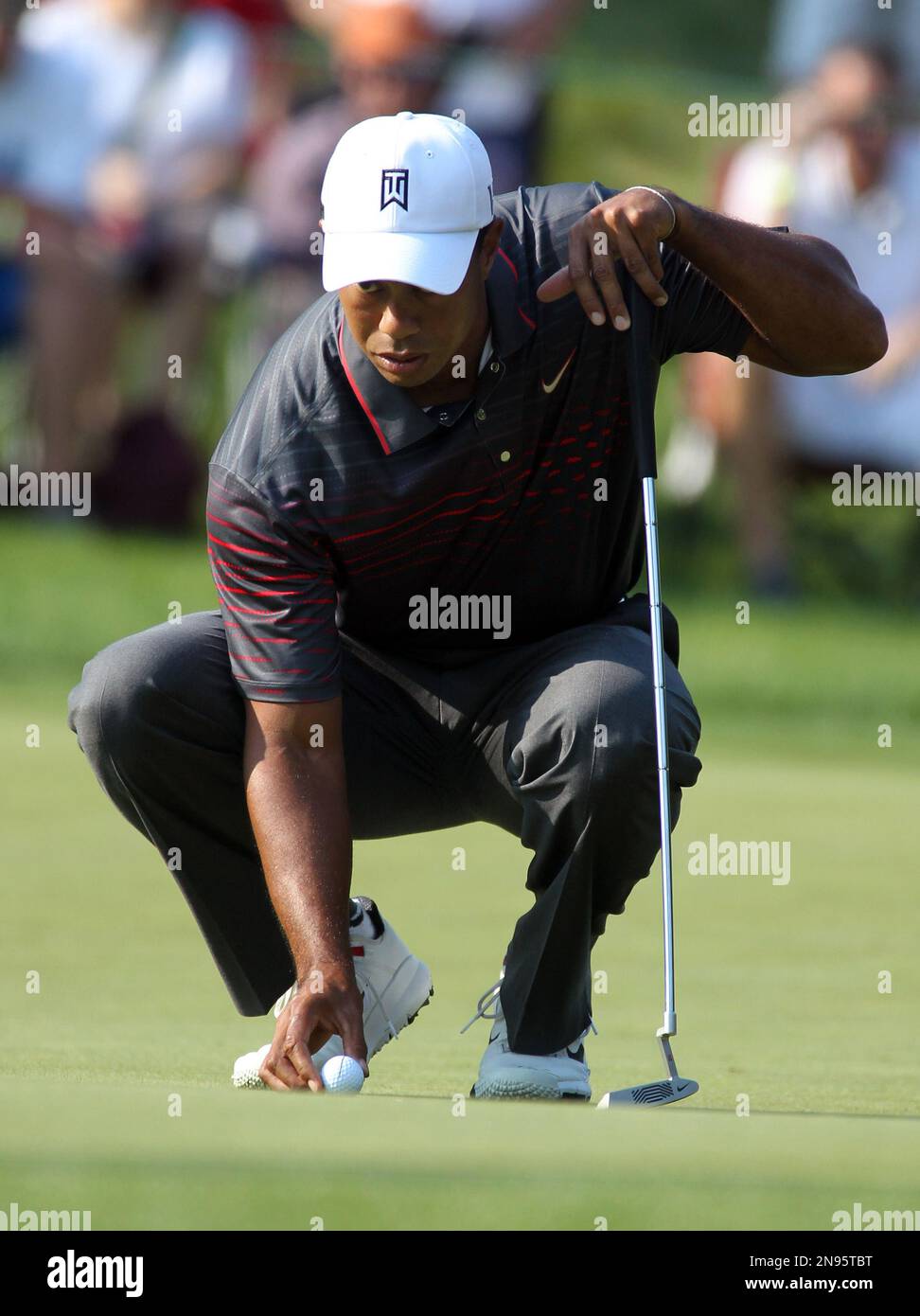 Tiger Woods places his ball on the 11th green during the first round of the Deutsche Bank Championship golf tournament at TPC Boston in Norton, Mass., Friday, Aug. 31, 2012. (AP Photo/Stew Milne) Banque D'Images