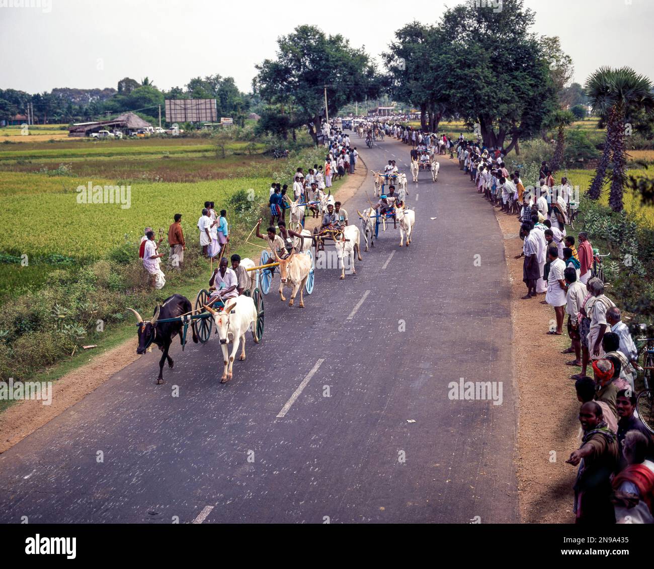 Bullock Cart race ou Rekla course à Madurai, Tamil Nadu, Inde, Asie Banque D'Images