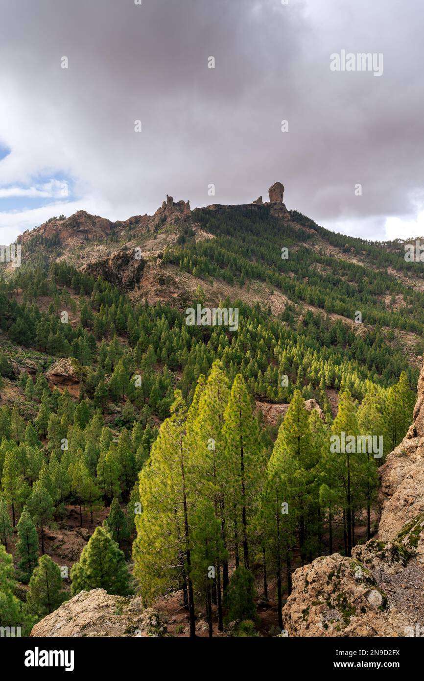 Vue sur Roque Nublo au sommet de Gran Canaria. Îles Canaries Banque D'Images