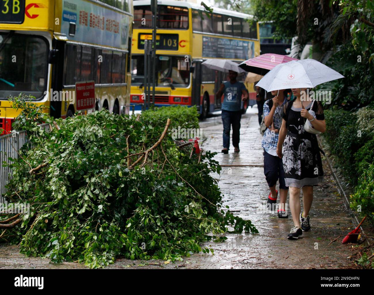 Pedestrians walk across the fallen tress caused by typhoon Vicente in Hong Kong Tuesday, July 24, 2012. The powerful typhoon slammed the Chinese territory of Hong Kong on Tuesday, injuring dozens, disrupting communications and bringing business to a standstill in one of the world's leading financial centers. (AP Photo/Kin Cheung) Banque D'Images