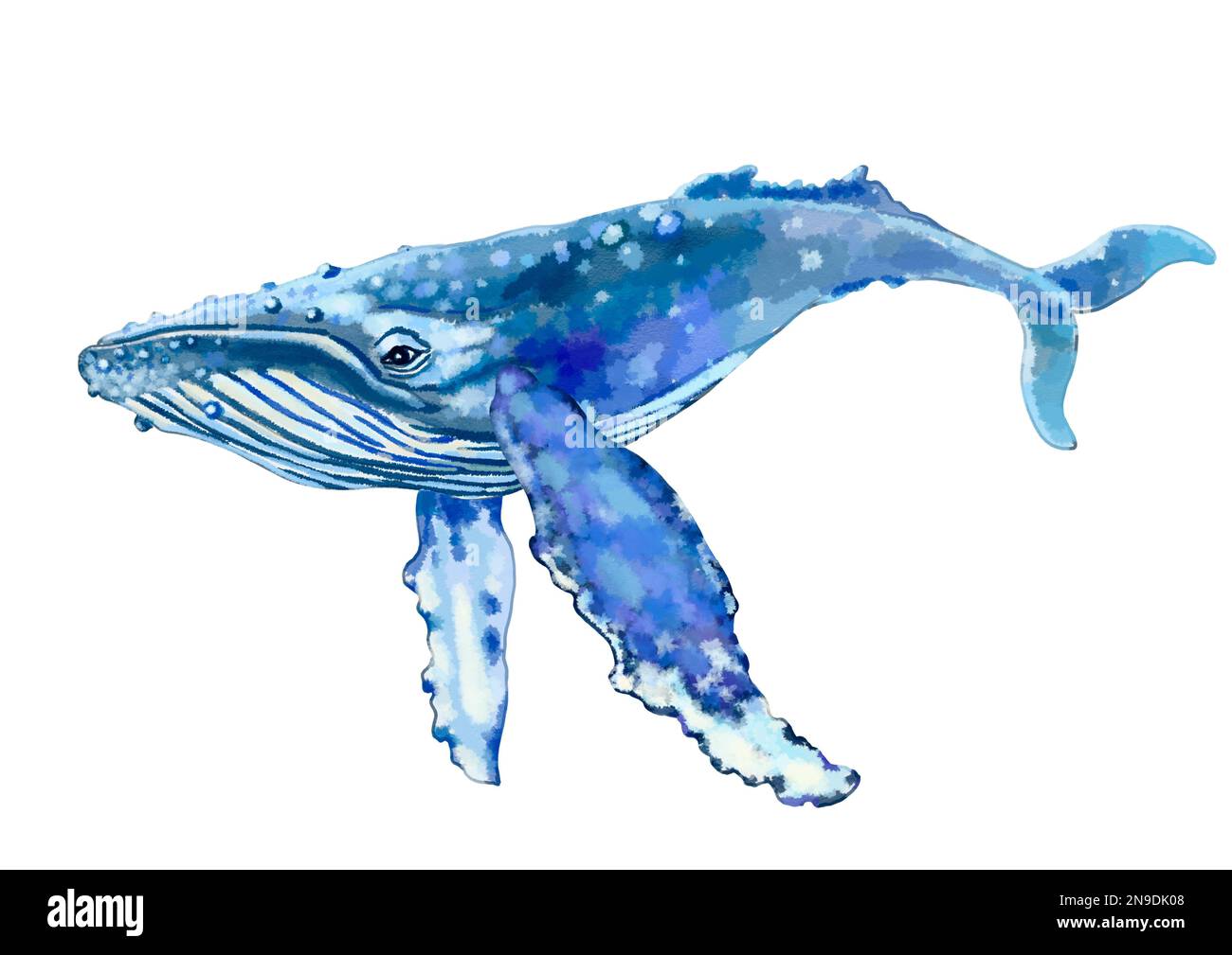 Dessin aquarelle d'une baleine bleue. Illustration de haute qualité Banque D'Images
