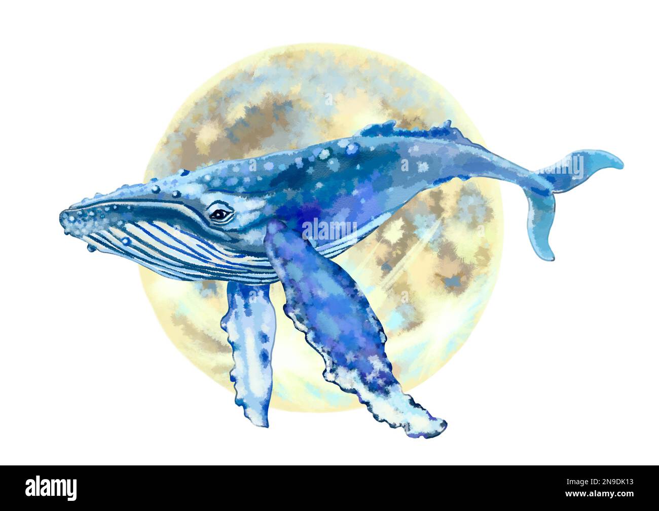 Dessin aquarelle de baleine et de lune. Illustration de haute qualité Banque D'Images