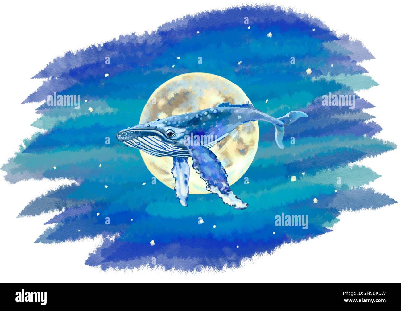 Dessin aquarelle de baleine et de lune. Illustration de haute qualité Banque D'Images