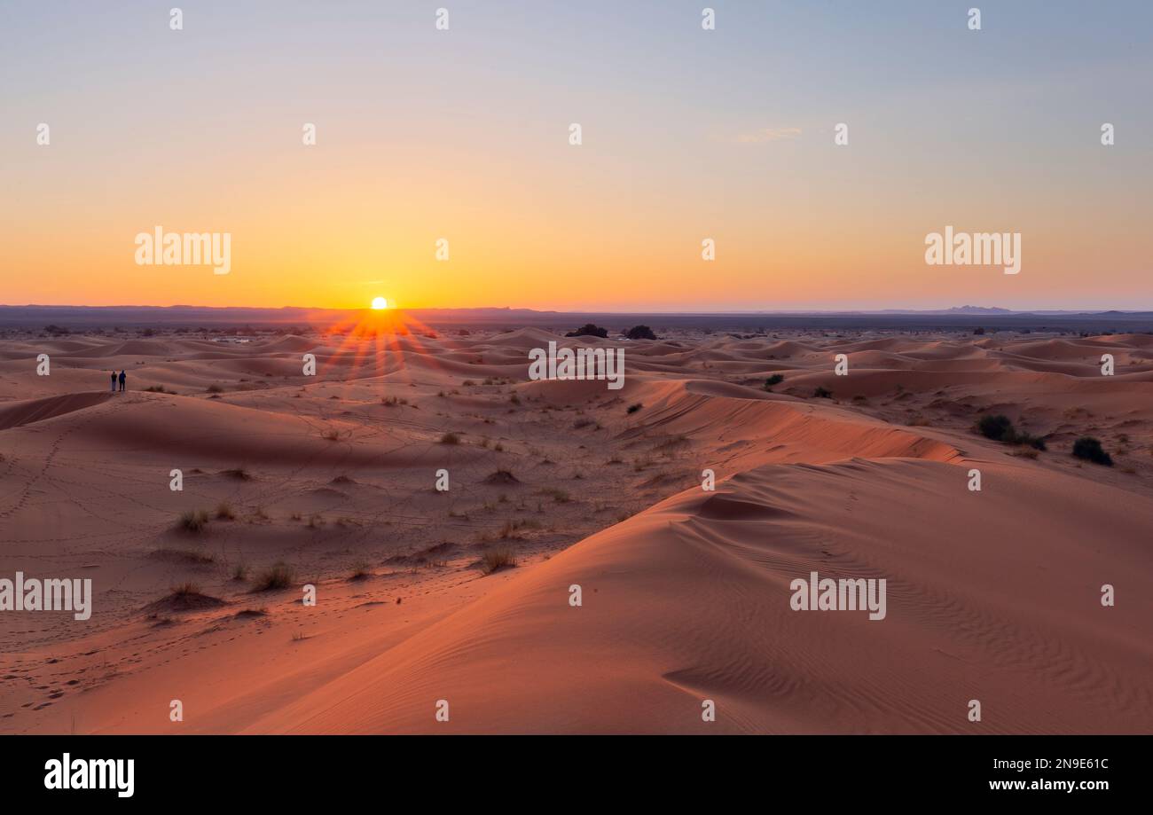 Les dunes de sable doré d'Erg Chebbi près de Merzouga au Maroc, Sahara, Afrique Banque D'Images