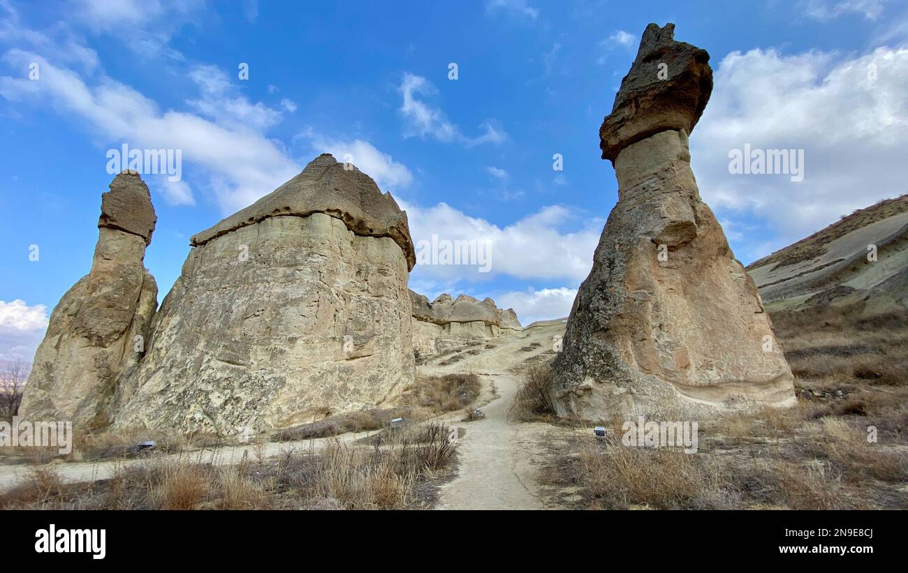Formations rocheuses extraordinaires collines rocheuses de la vallée des champignons, pasabaglari, Cappadoce, Nevsehir, Turquie Banque D'Images