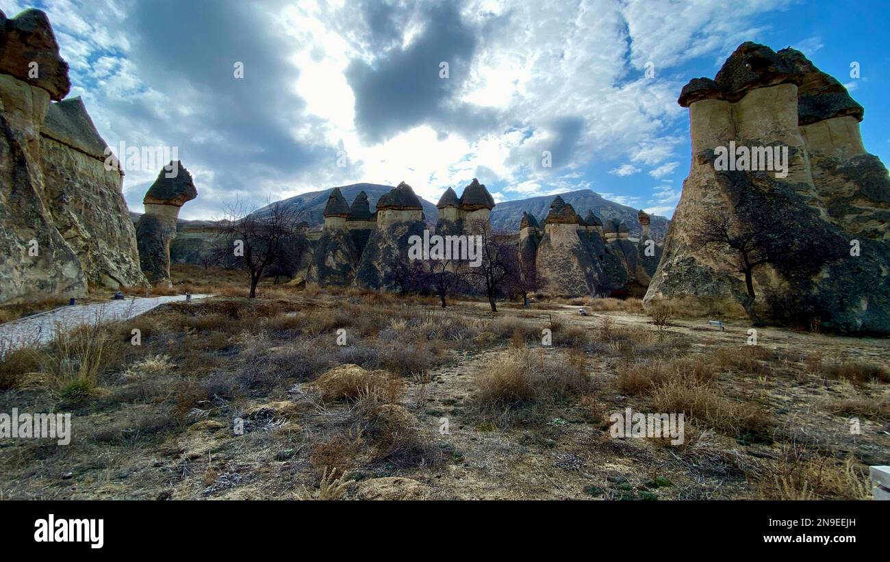 Formations rocheuses extraordinaires collines rocheuses de la vallée des champignons, pasabaglari, Cappadoce, Nevsehir, Turquie Banque D'Images