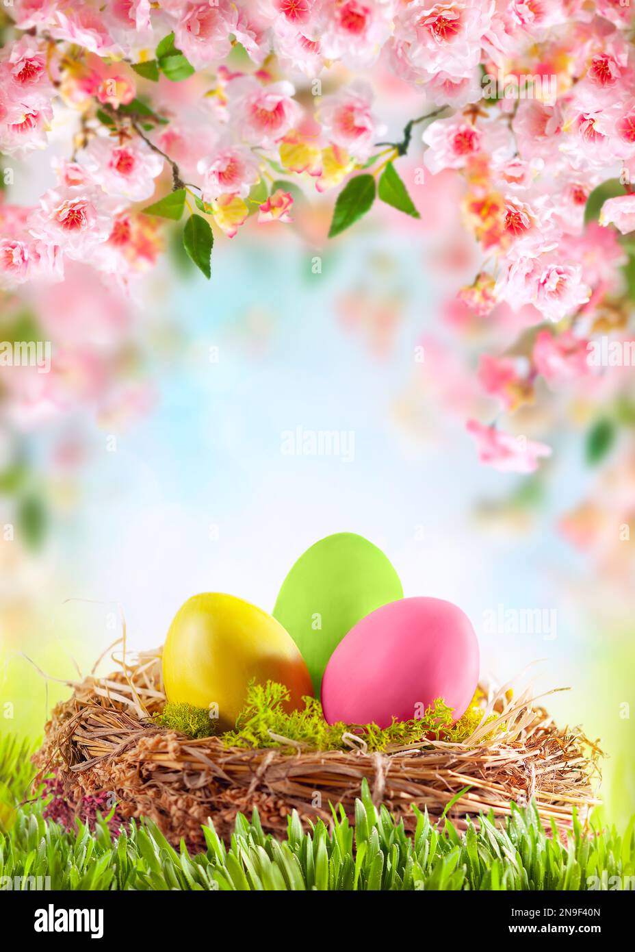 Composition de Pâques avec œufs de Pâques colorés en nid sur l'herbe verte. Belles fleurs de cerisier rose et blanc. Banque D'Images