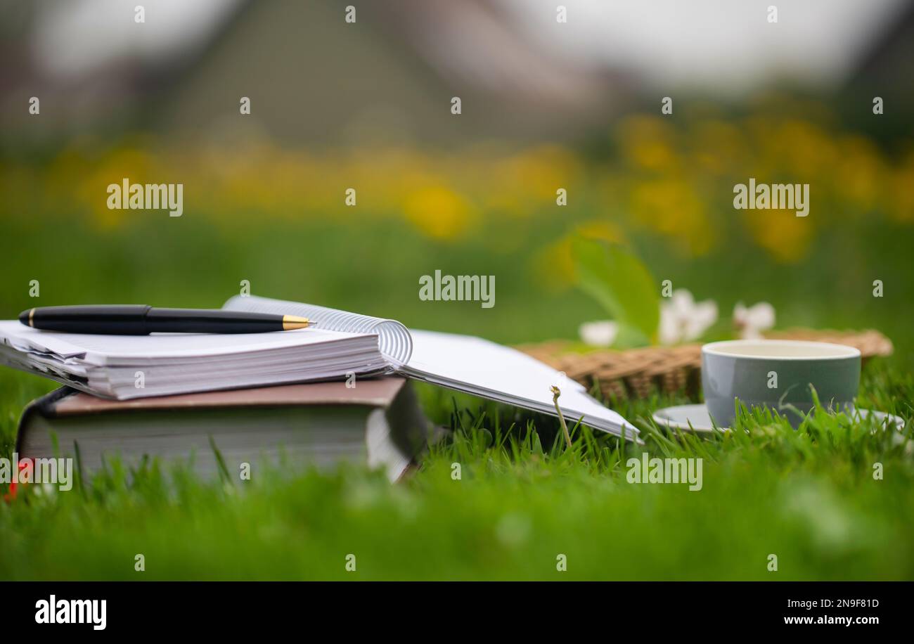 Tisane Dandelion dans jardin de fleurs avec livre Banque D'Images