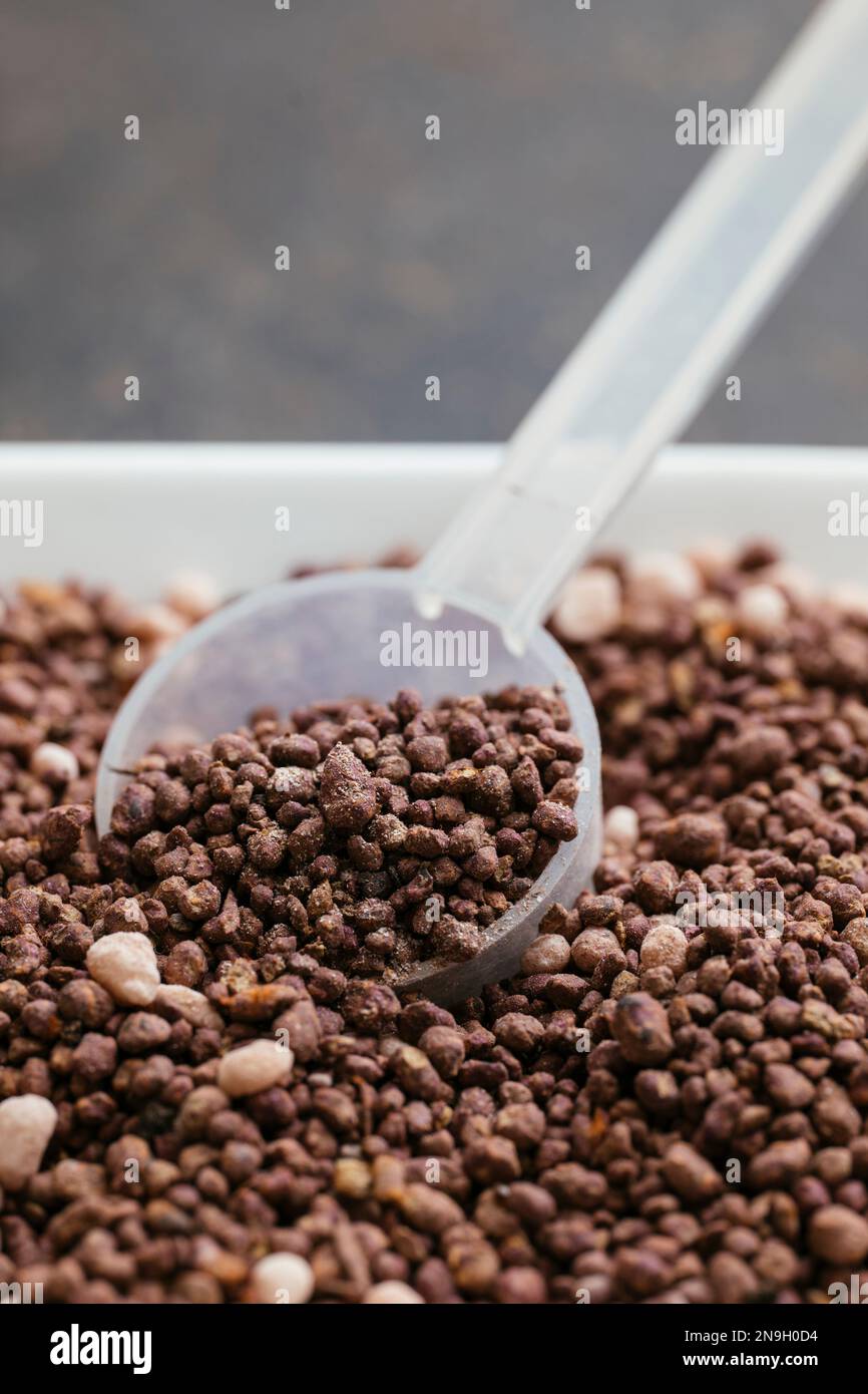 Engrais NPK biologique pour herbes et plantules avec une cuillère de mesure Banque D'Images