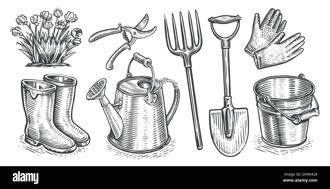 Outils de jardin, ensemble d'équipements. Jardinage, horticulture concept. Collection d'objets. Illustration vectorielle d'esquisse vintage Illustration de Vecteur
