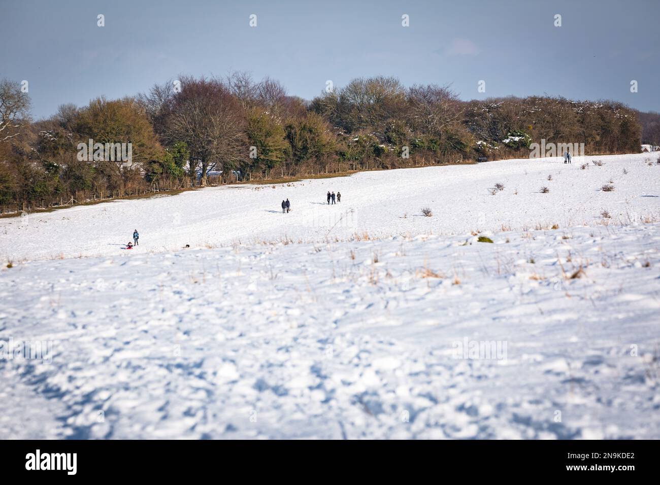 Basingstoke commune couverte de neige, le 2019 février après que la Bête de l'est ait frappé la neige Banque D'Images