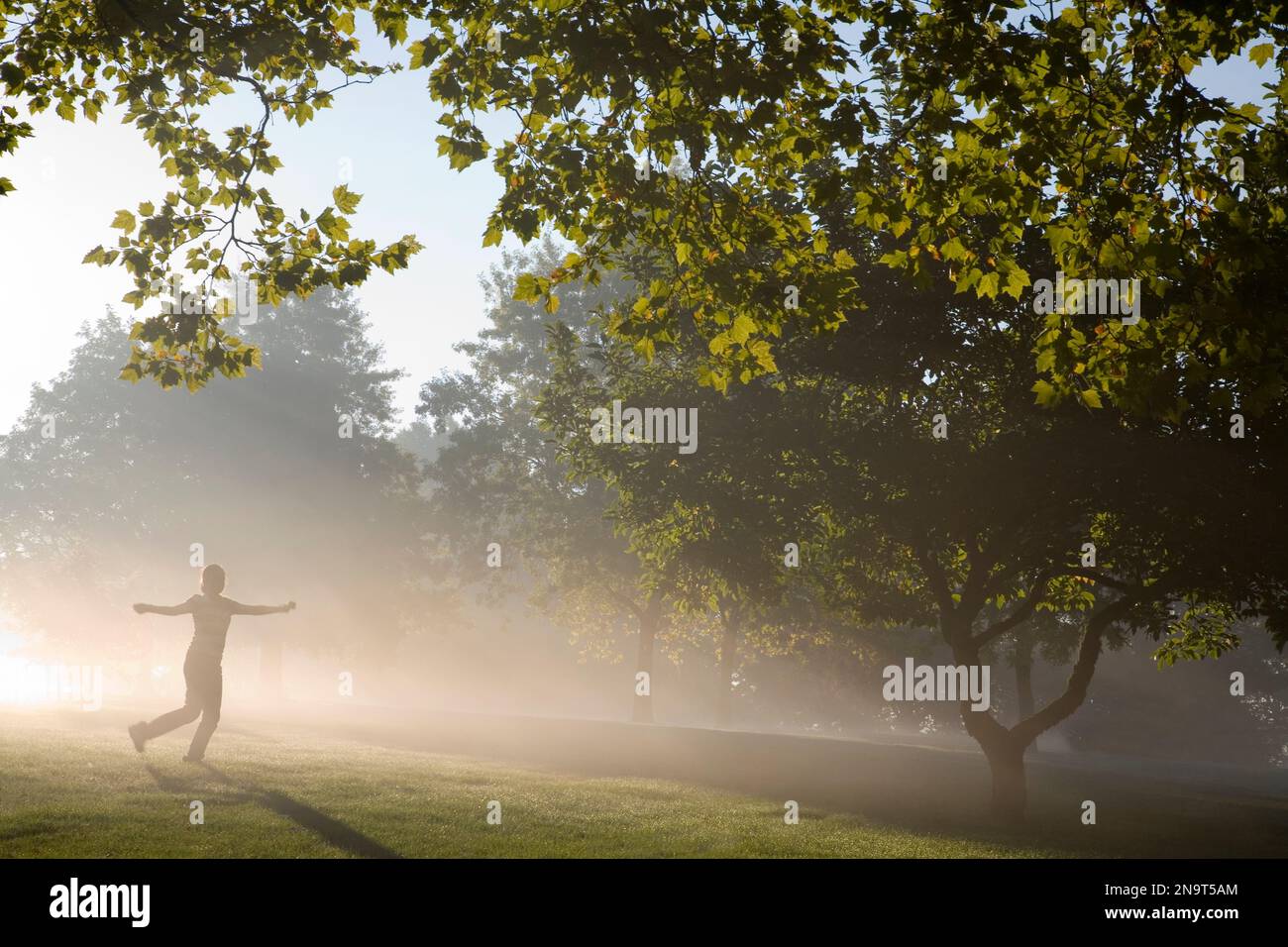 Fille marchant à travers le brouillard et la lumière du soleil au lever du soleil dans un parc ; Portland, Oregon, États-Unis d'Amérique Banque D'Images